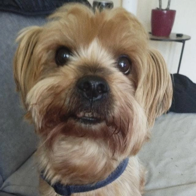 Tofik - Am Siek, Bremen