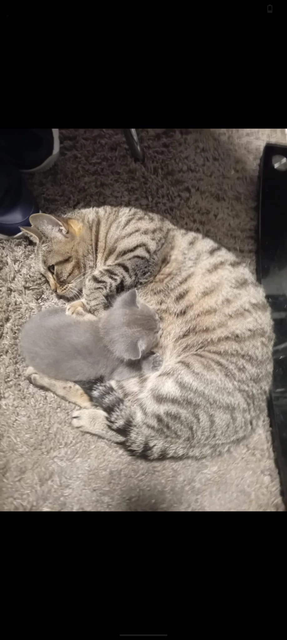 Mira - Hermann-Köhl-Weg, Nürnberg