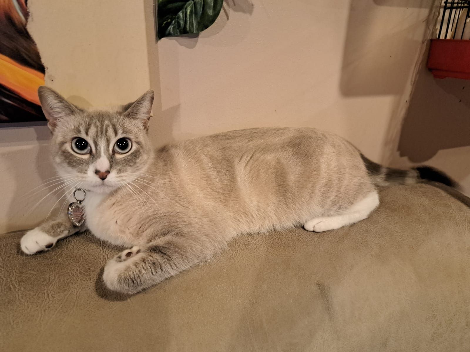 Duquesa - Carretera de Beirán, Vigo