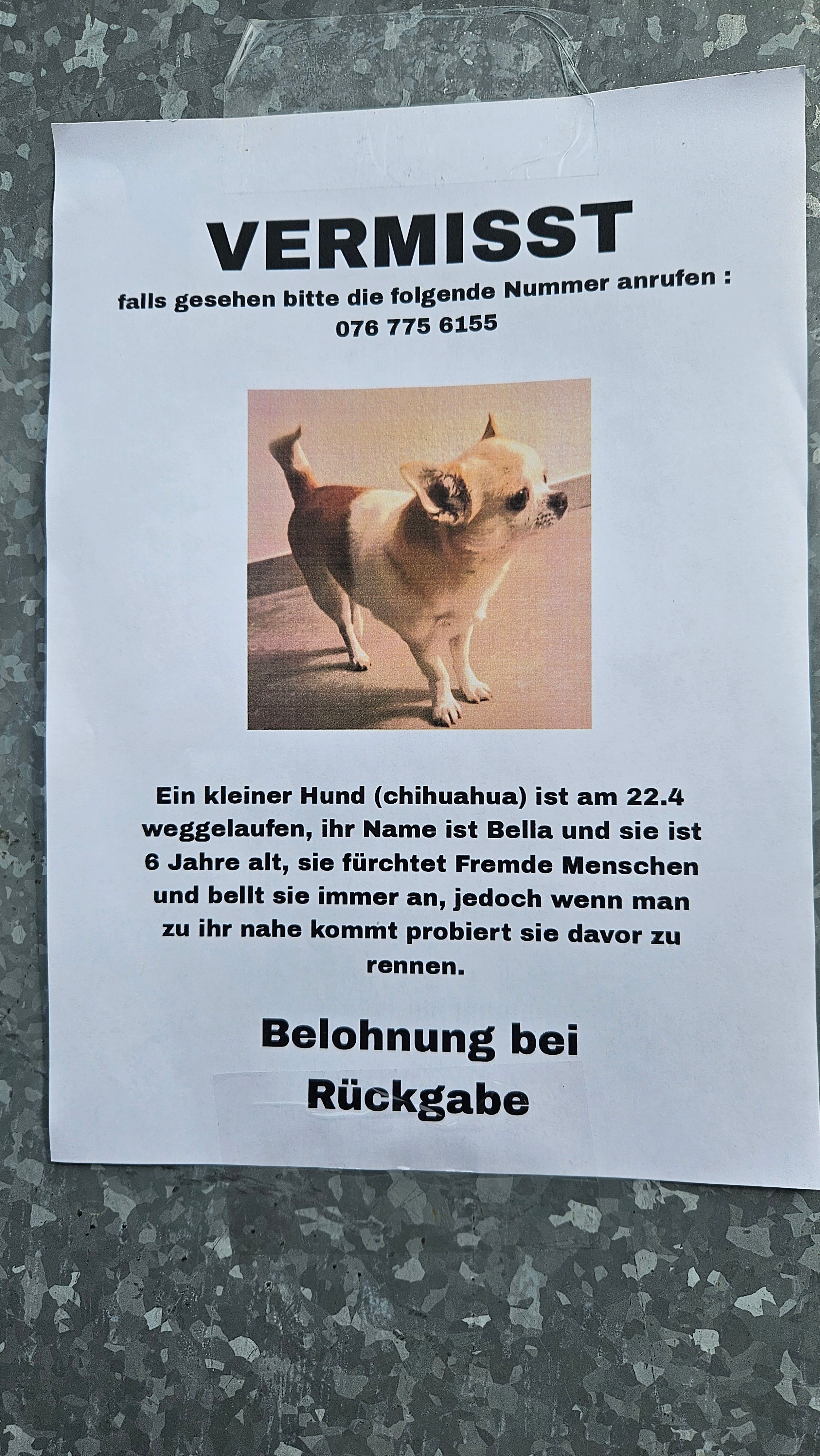 Bella - Kerbelweg, Würenlingen