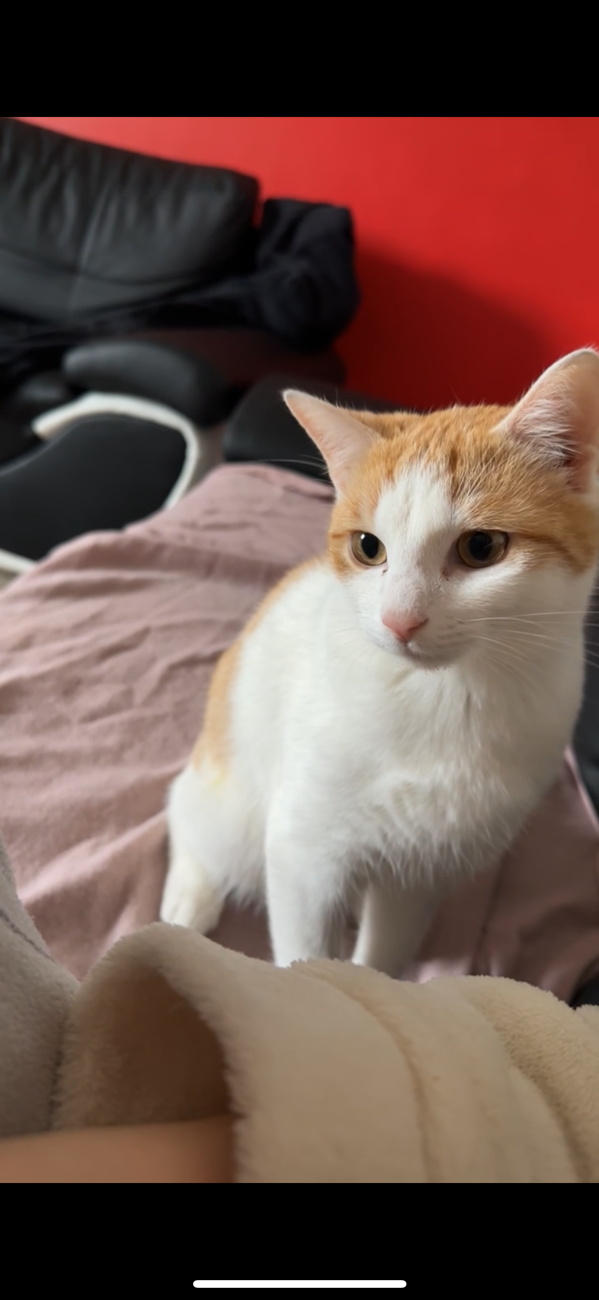 Skar  - Rue Du Banlay, Nevers