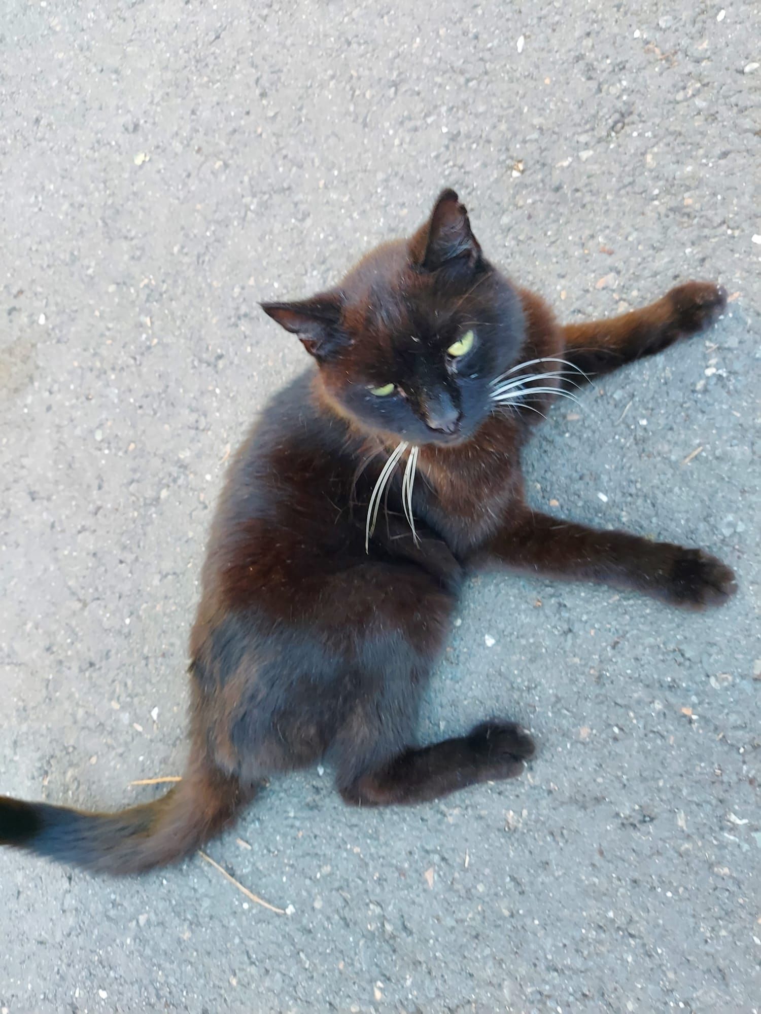 Max - Preilipper Straße, Rudolstadt