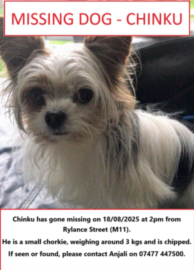 Chinku - M11 3, Manchester