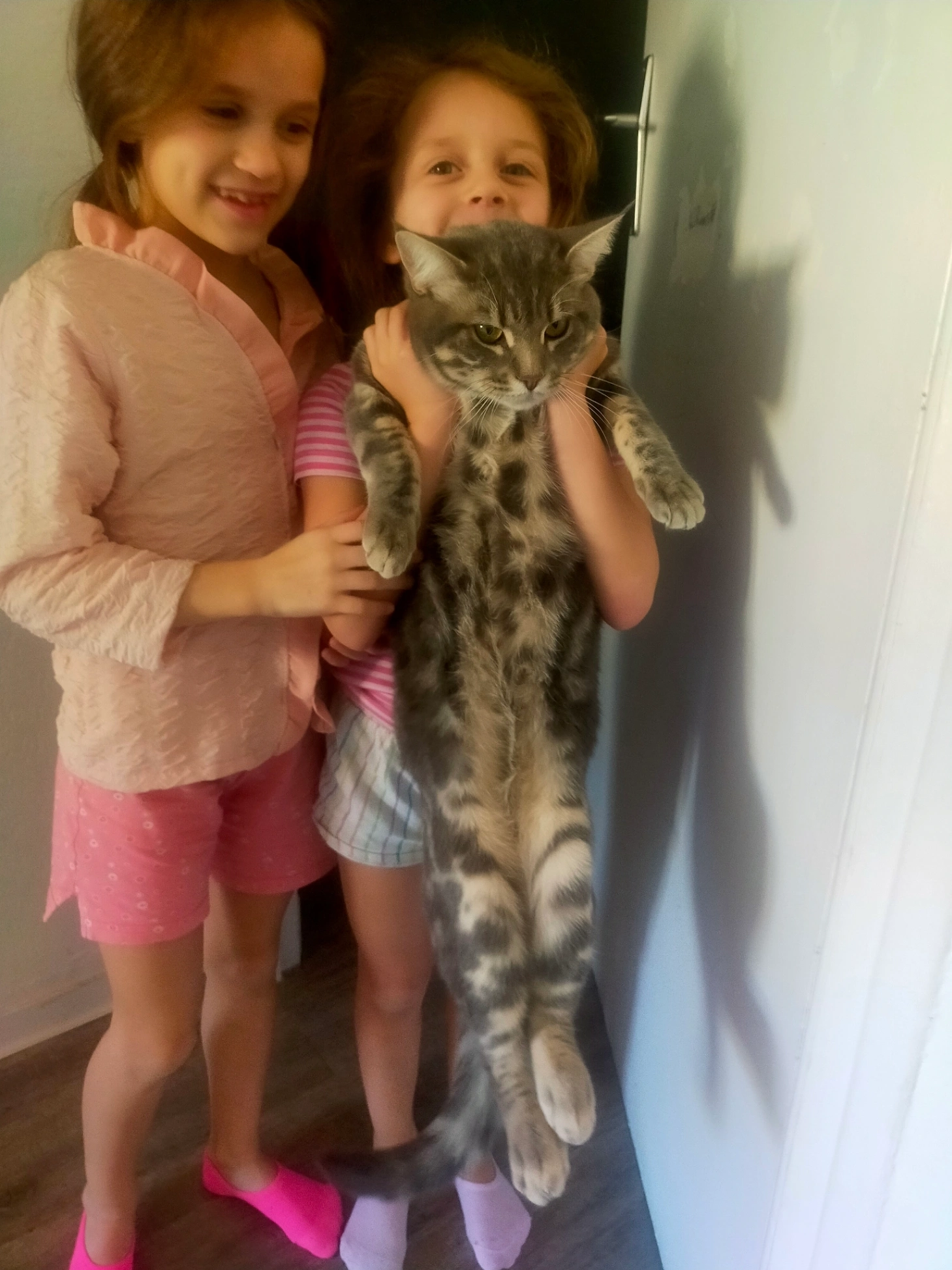 Simba - 18 chemin des capucins bat 2 esc 3 , Grasse