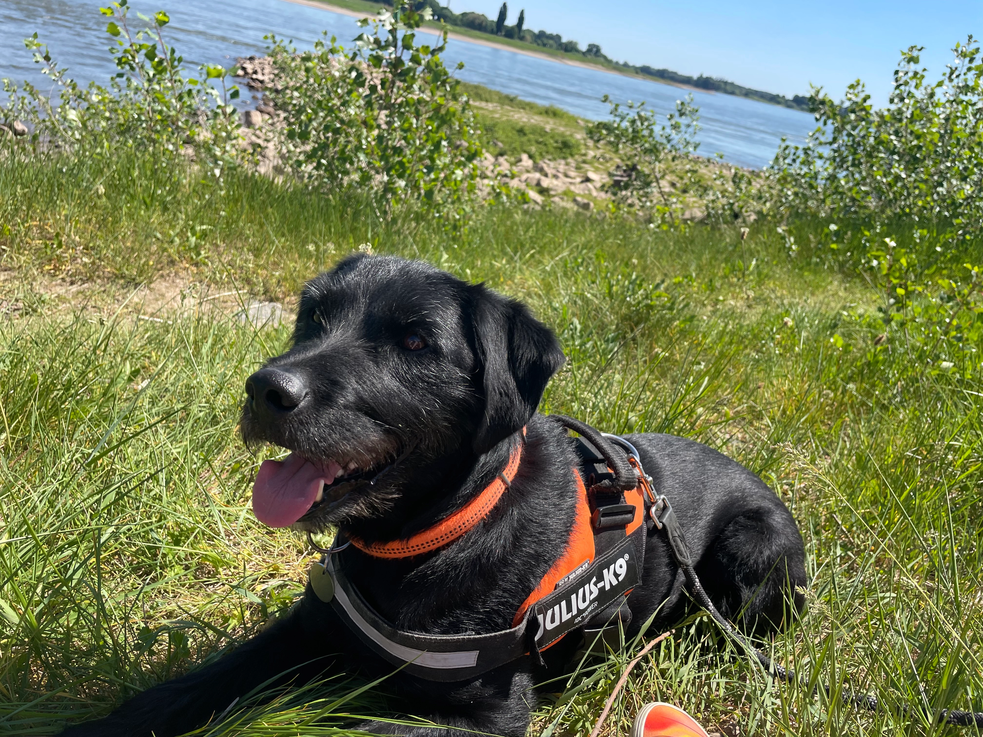 Barnie - Helene-Weber-Straße, Neuss