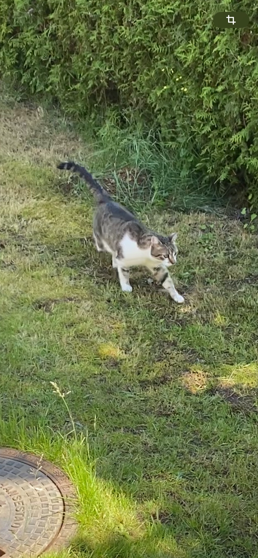 Sylvester - Geschwister-Scholl-Straße, Bad Segeberg