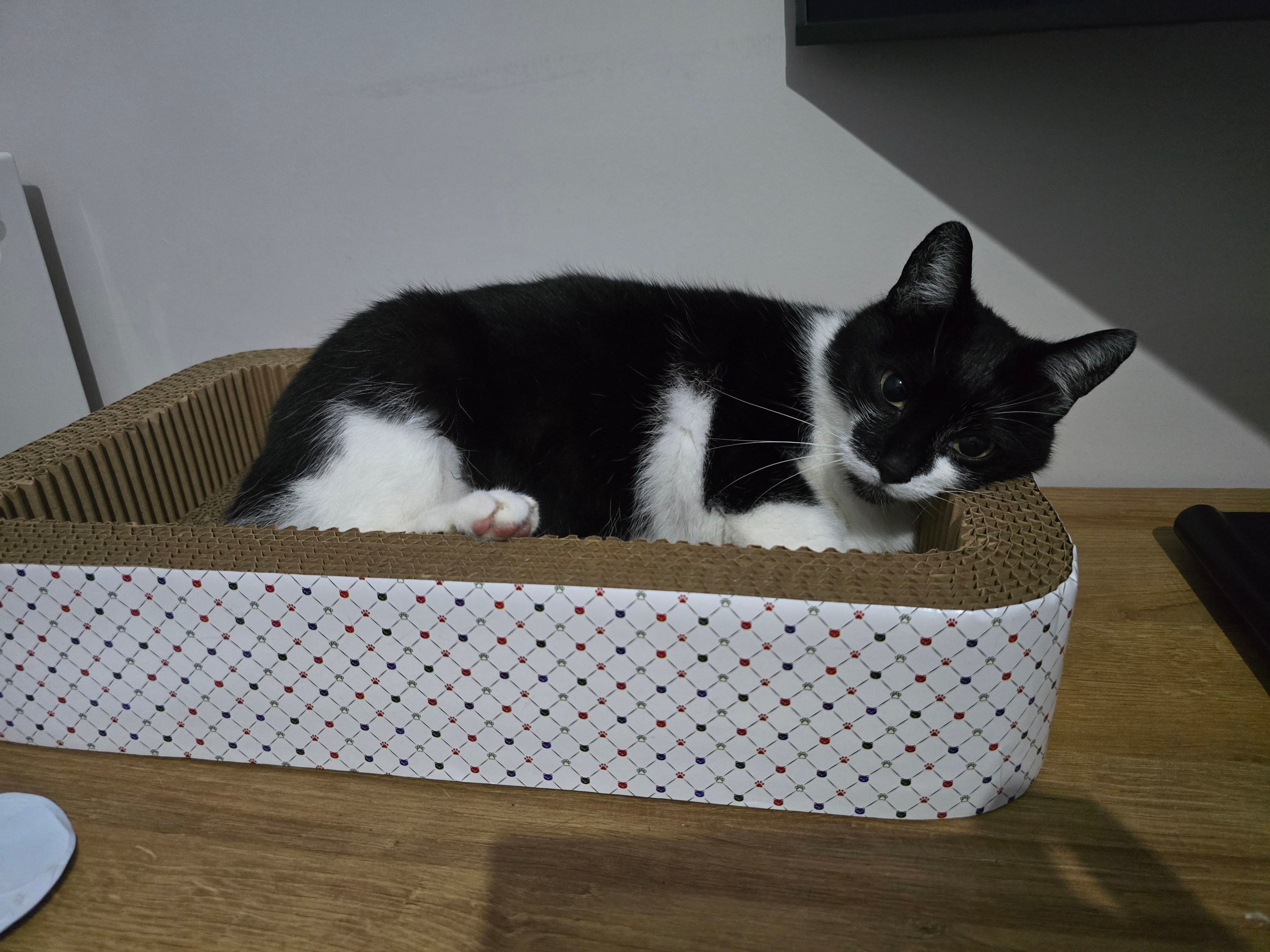 Plotka - Blundell Avenue, Cleethorpes