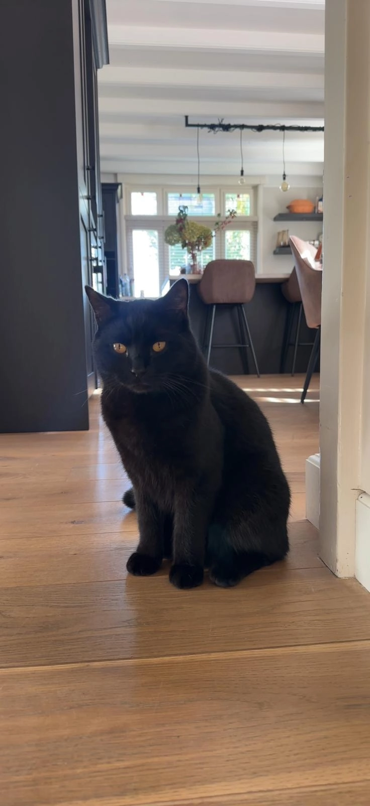 Lucky - Oude Heerweg, Blitterswijck