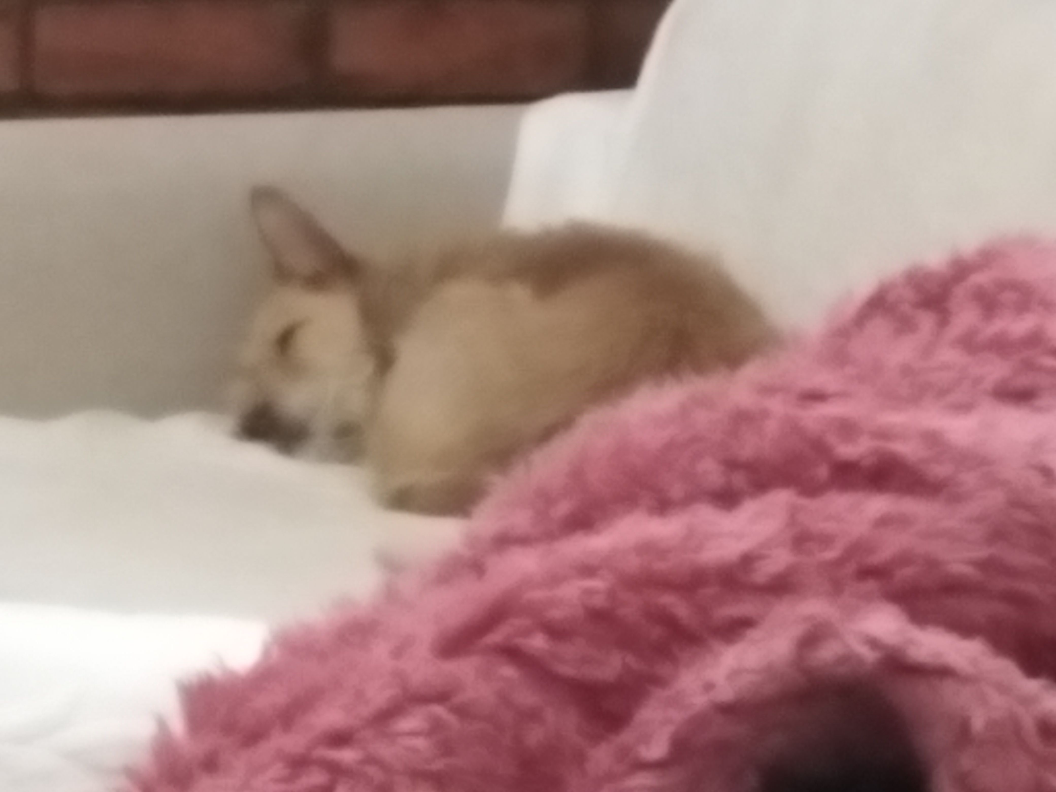 Niky - Rua Adolfo Casais Monteiro, Albufeira