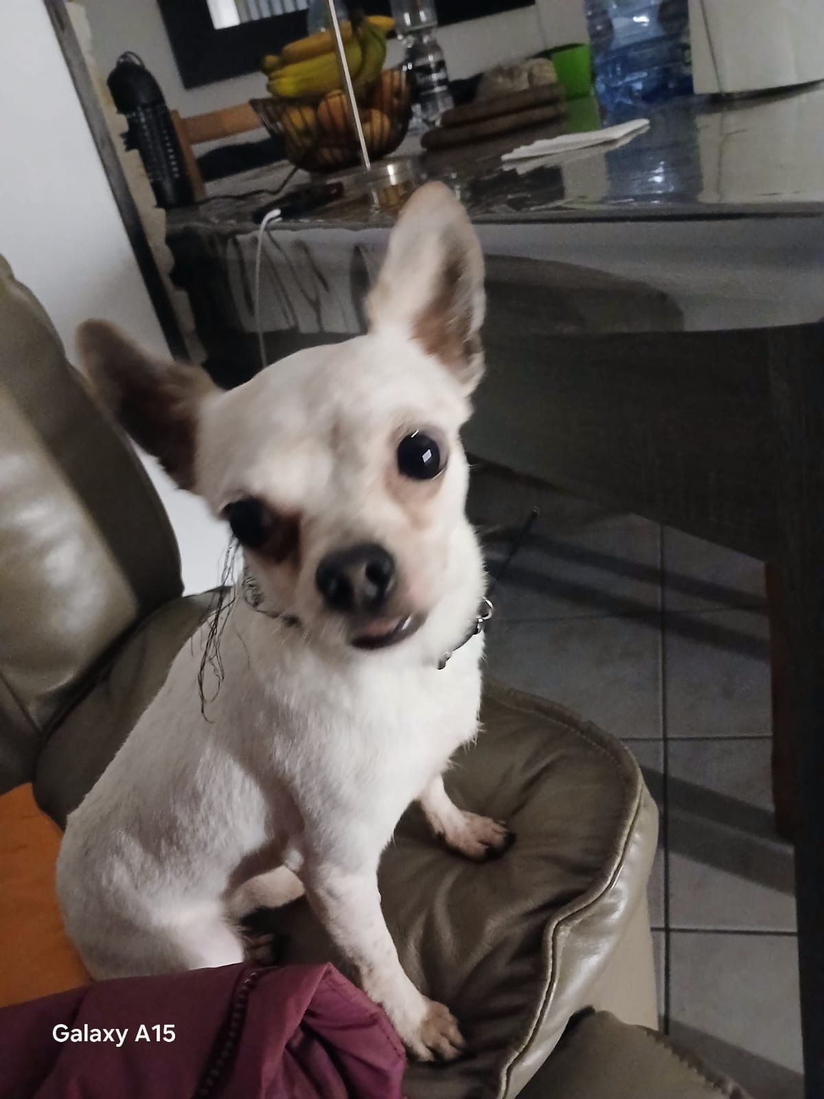 Vuitton - Route de Mitry, Villepinte