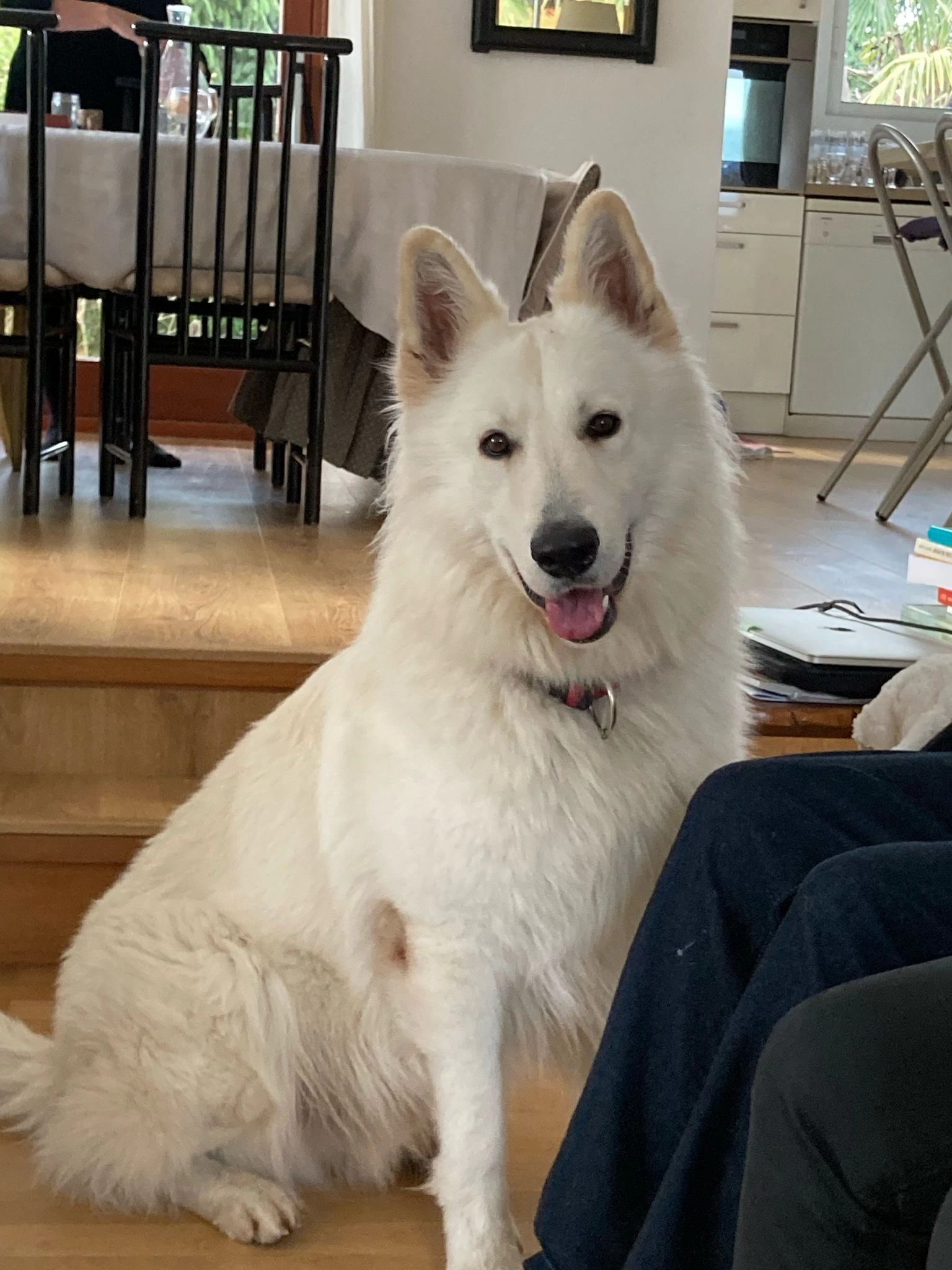 Yoshi - 35 Rue Quatre-Têtes, Saint-Just-de-Claix