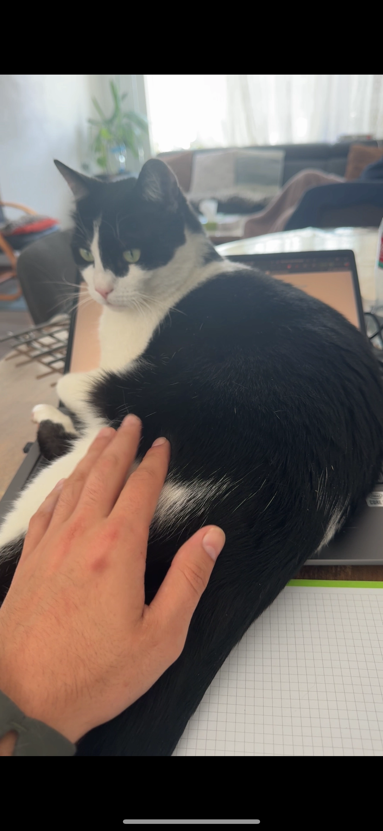 Messi - Cederstraat, 's-Hertogenbosch