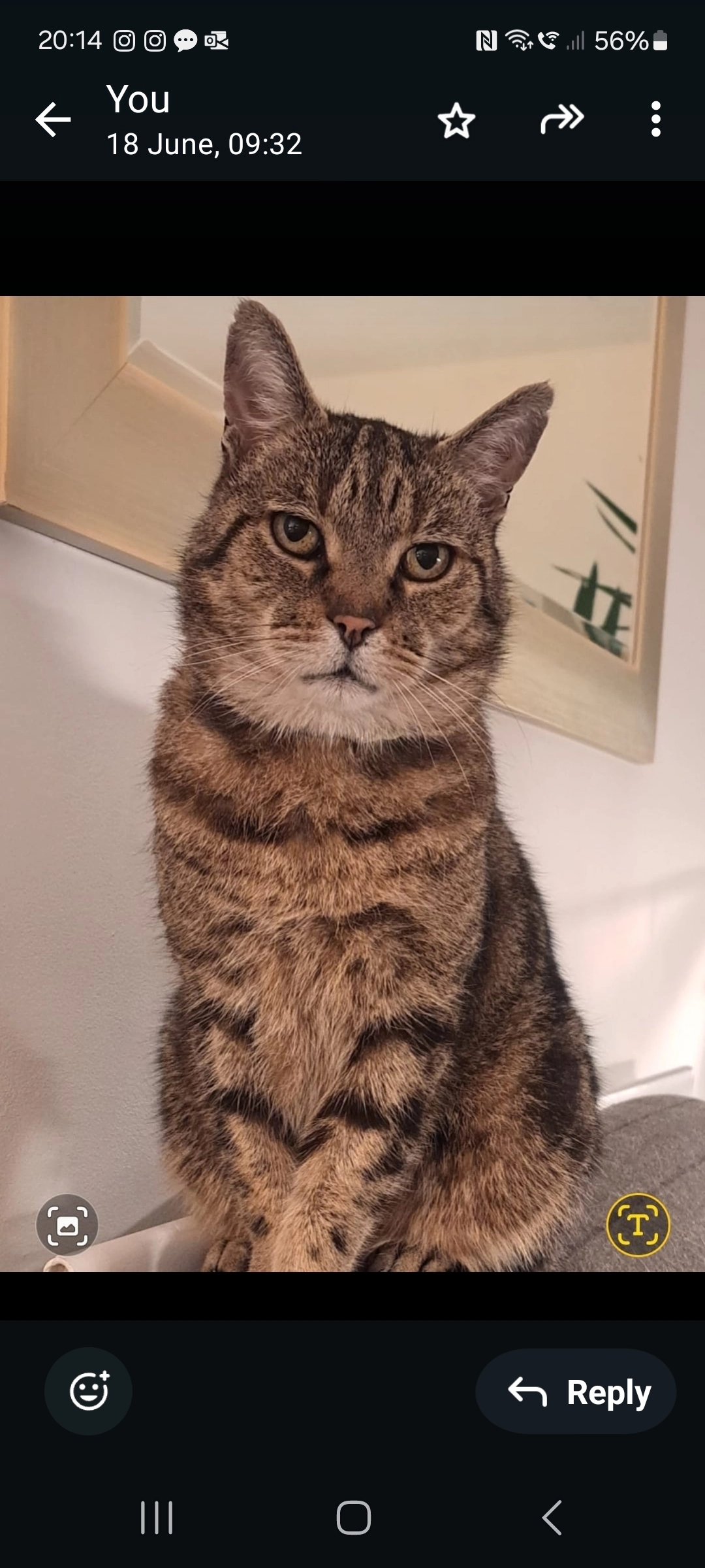 TomTom - Surrey Close, Rugeley