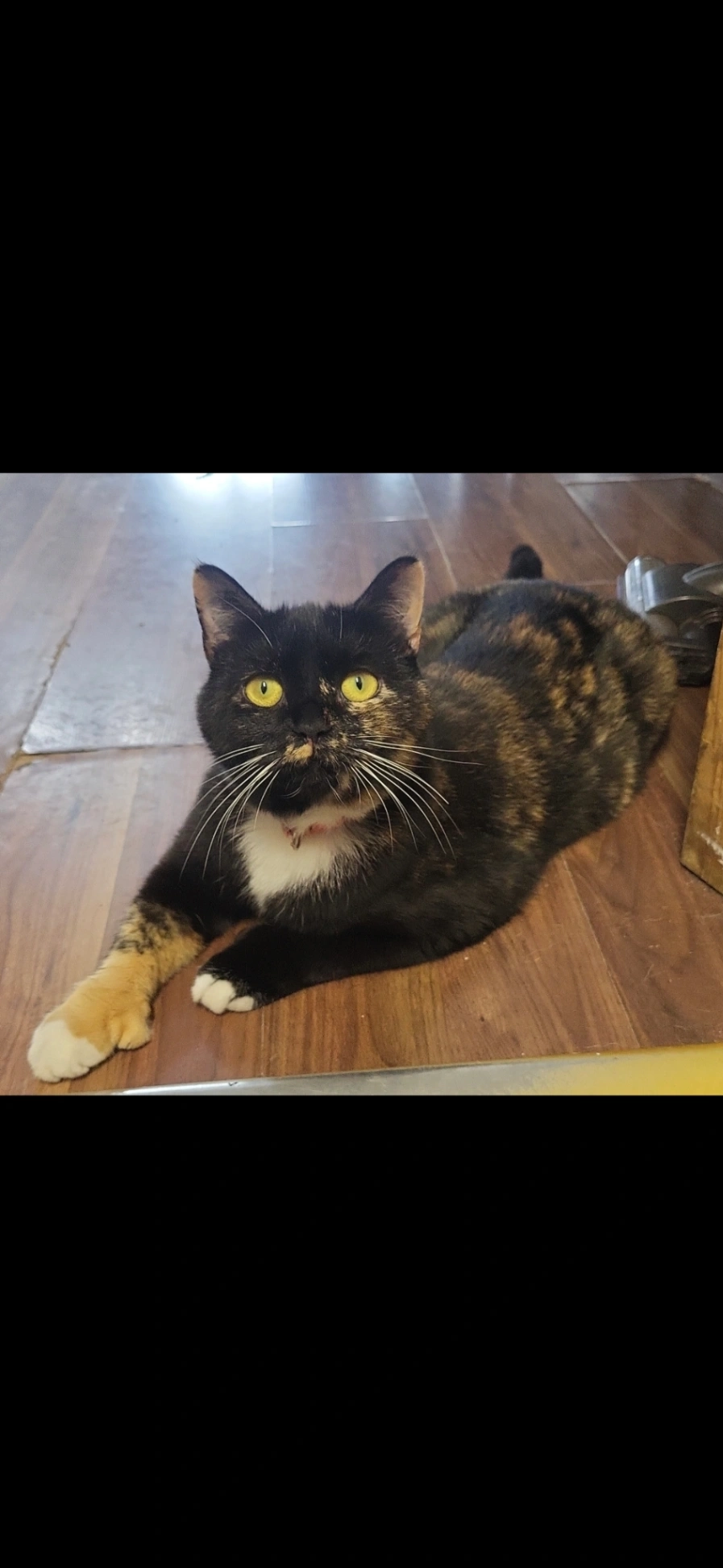 Mia - Brownson Walk, Manchester