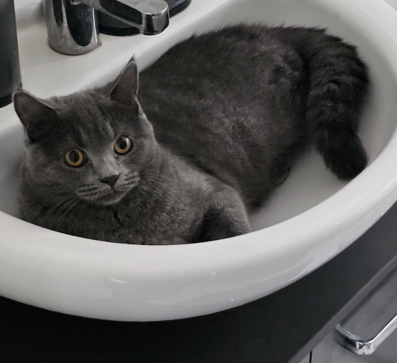 Minosch - Wolf-Heidenheim-Straße 3, Frankfurt am Main