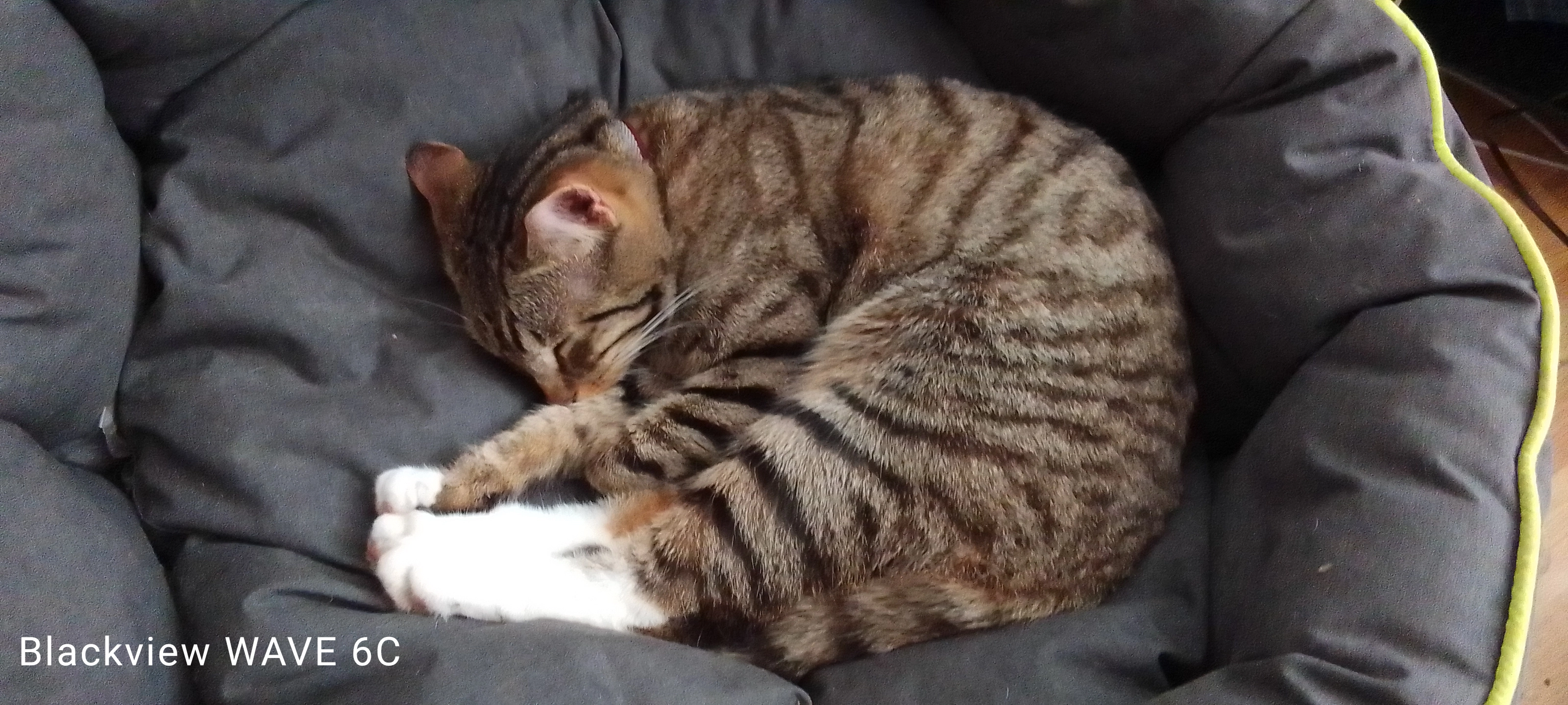 Ghost - 27 Parc y Ffordd, Caerfyrddin