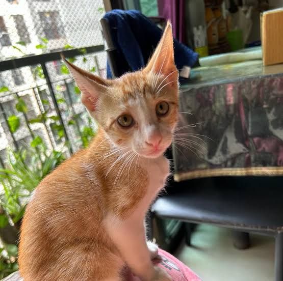 Don't have a name yet  - Nh52, Aurangabad