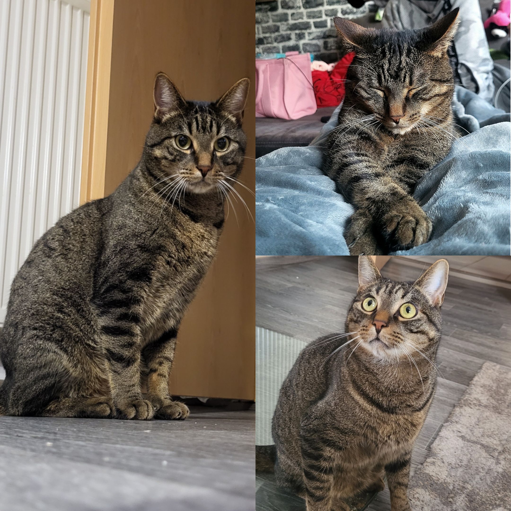 Chicko - Gustav-Weiß-Straße, Lichtenfels