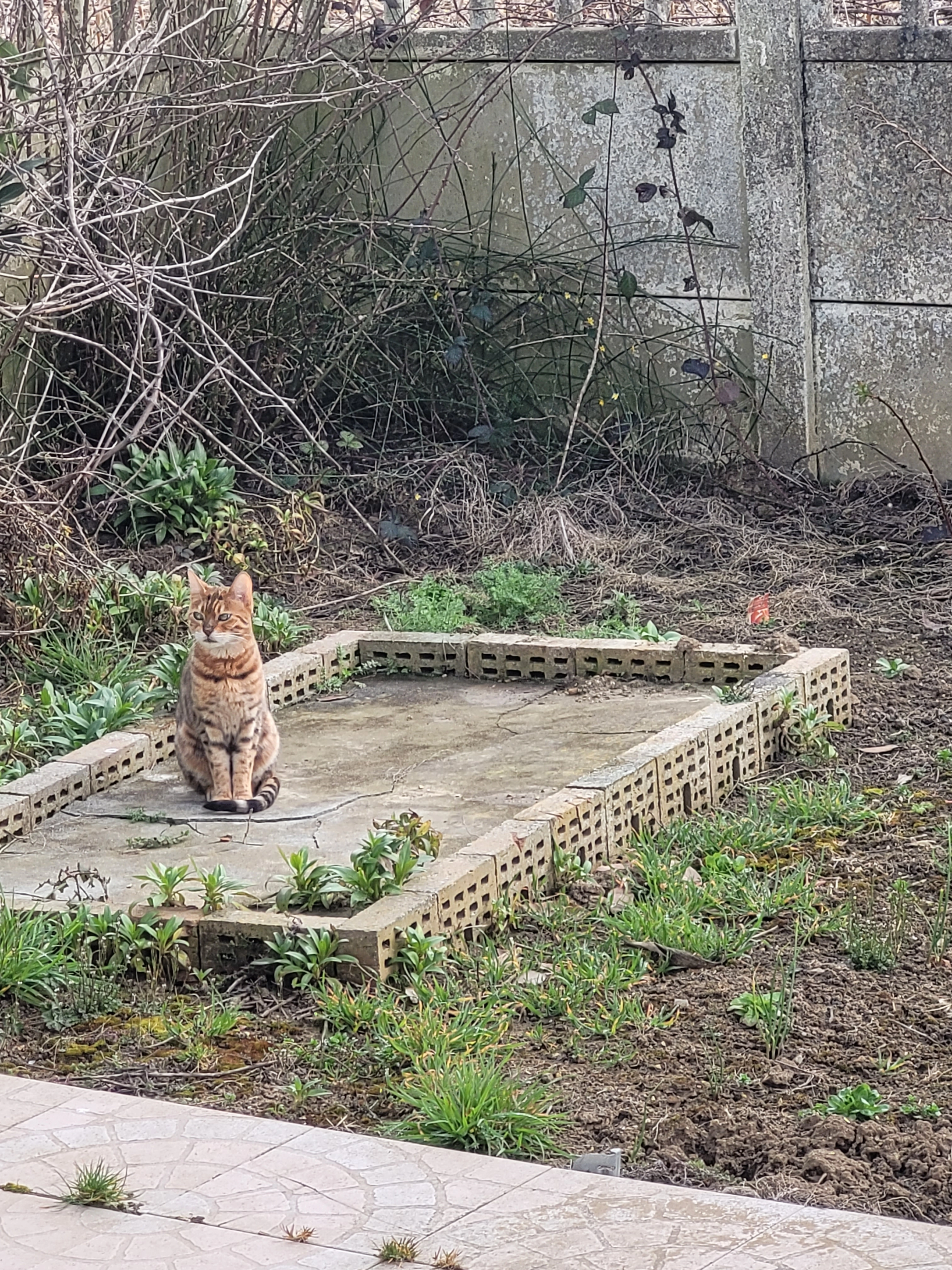 Osiris - Chemin Vert, Hulluch