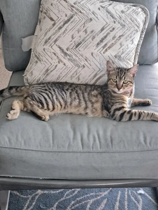 NALA - 5711 Milton Ave, Sarasota