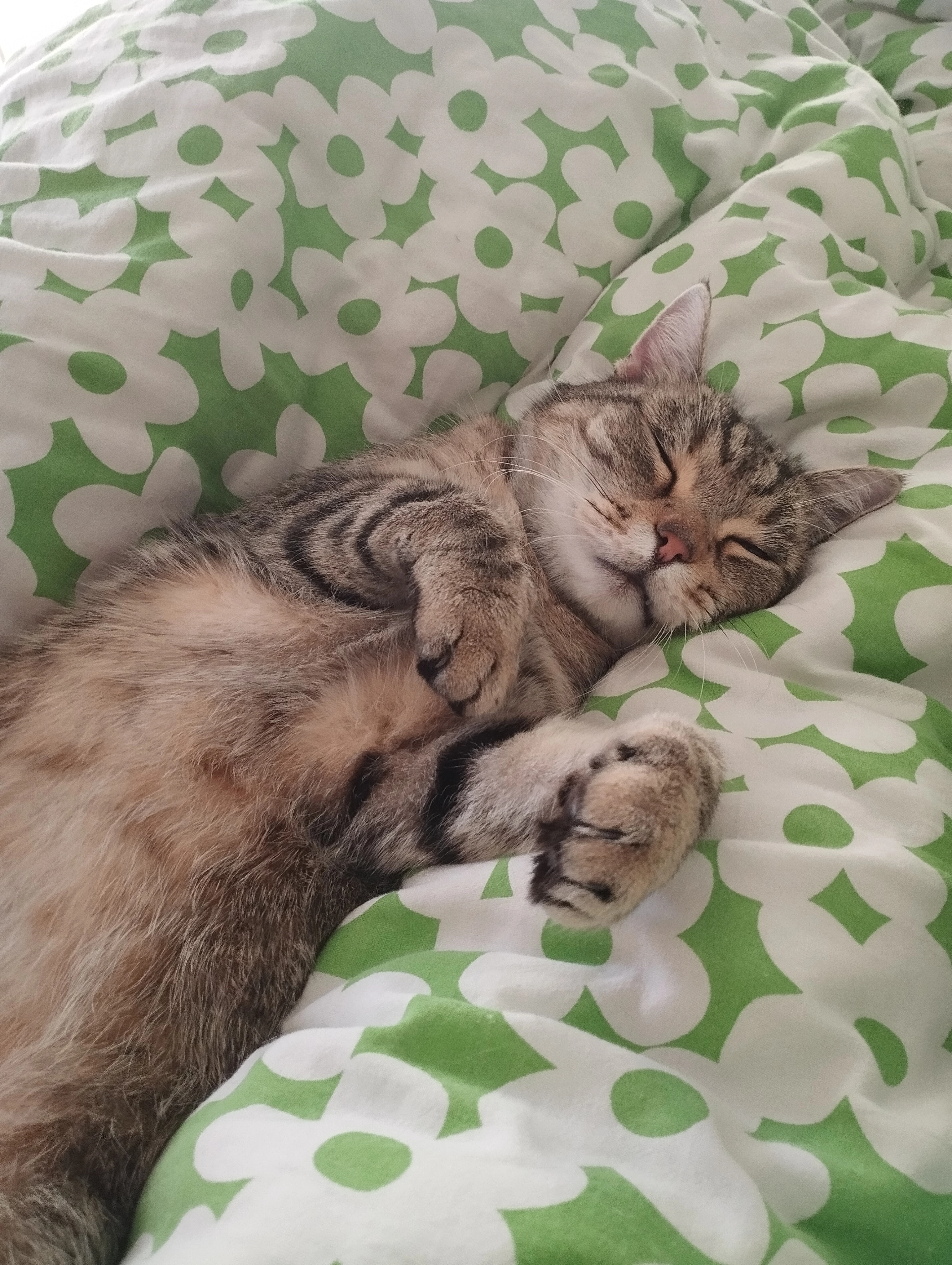 Derrick  - Lamprechtstraße, Leipzig