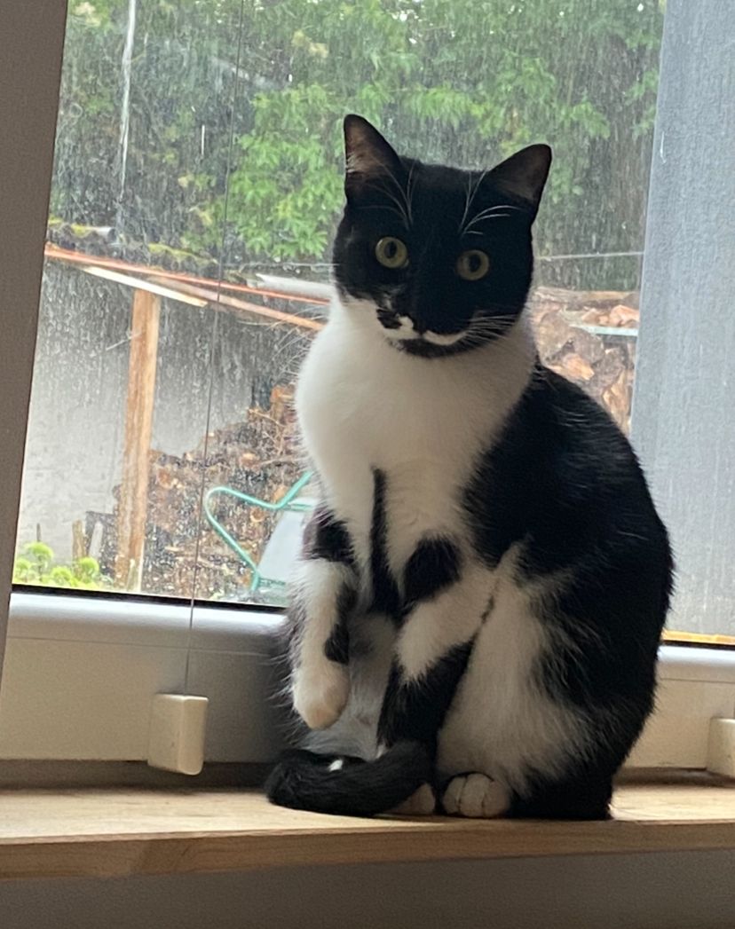 Patti - Zum Bahnhof, Wittstock