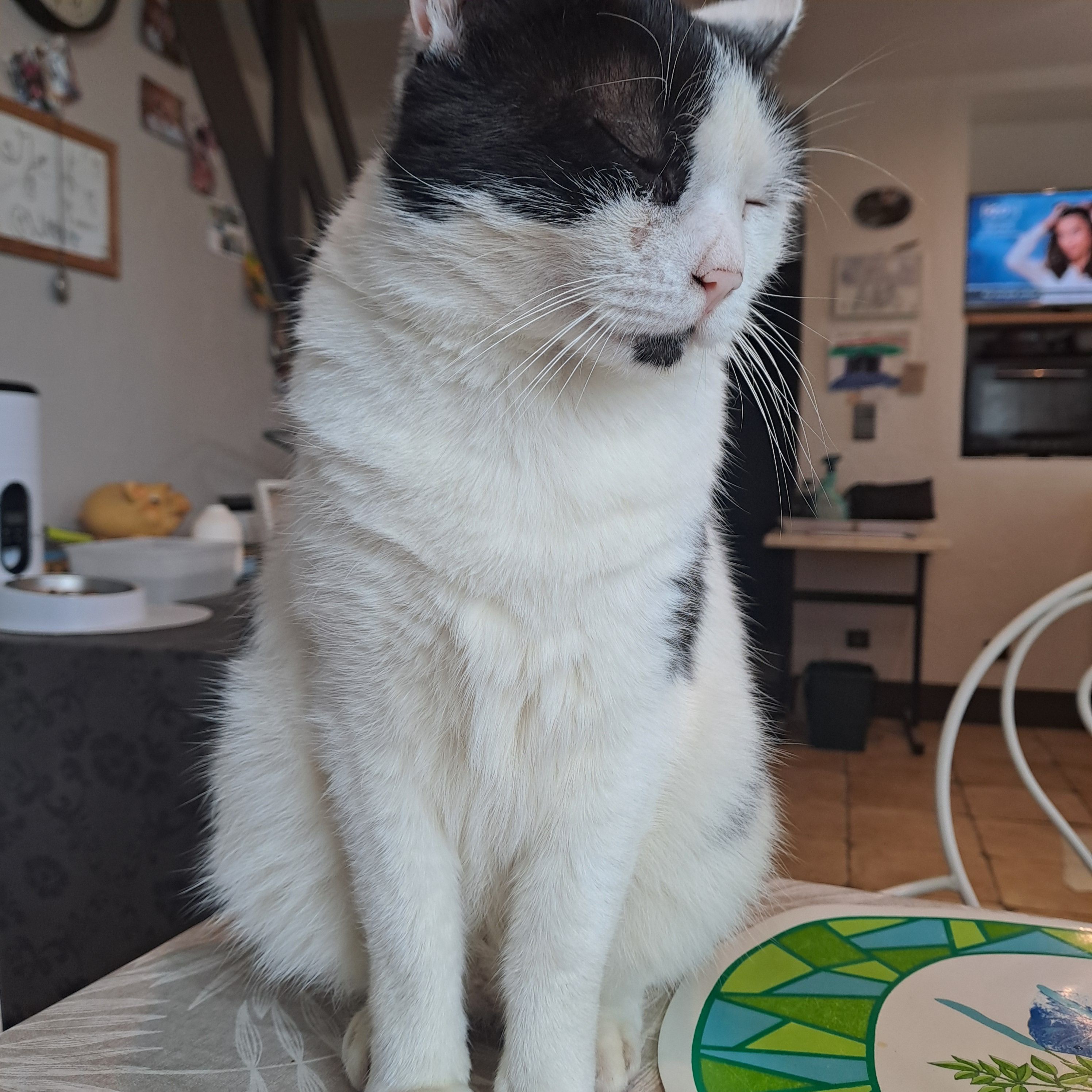 Doudou  - 2 Route du Lavoir, Sorbier