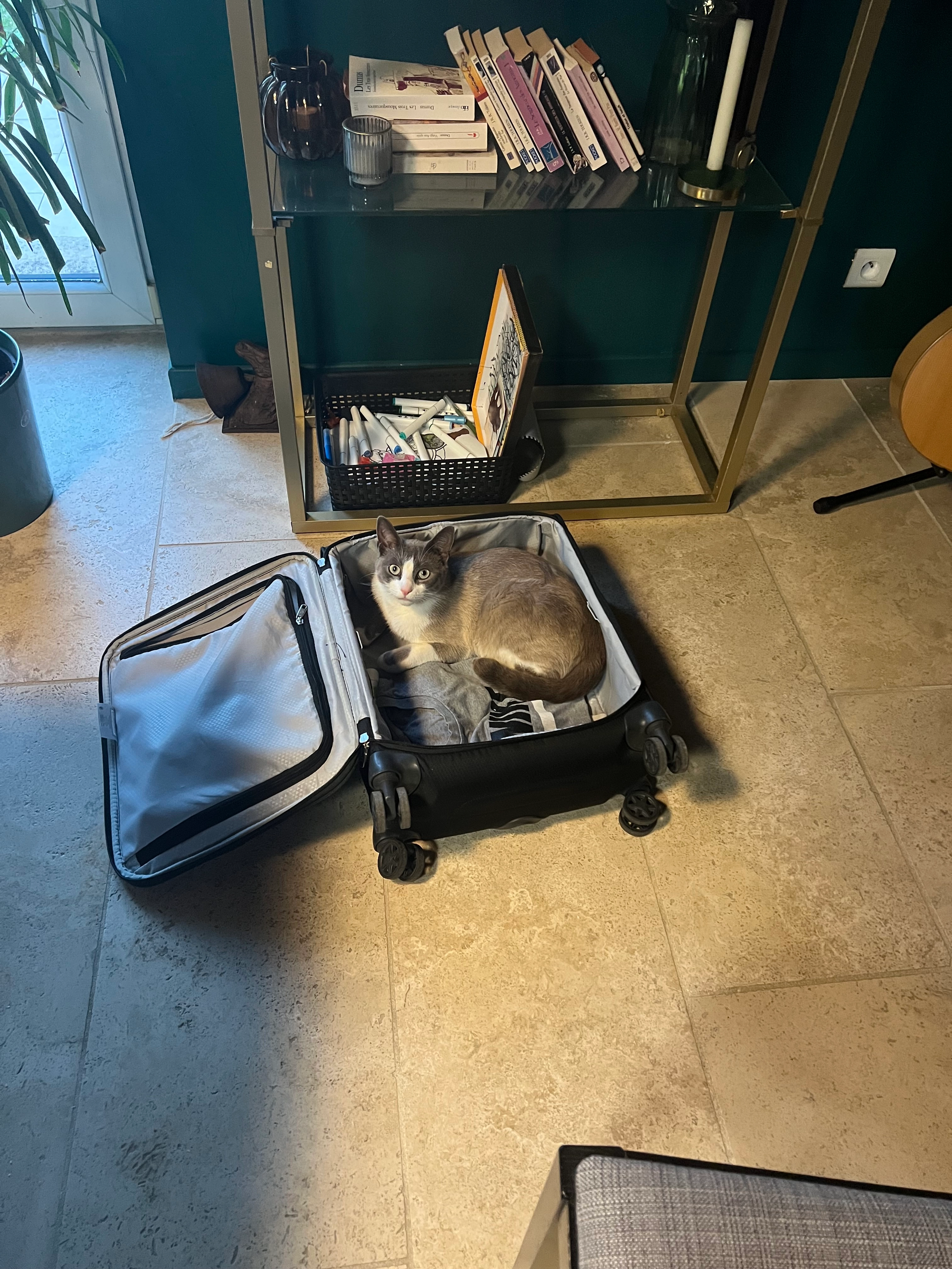 Jiji - 2 Rue Gondevin, Longeault-Pluvault