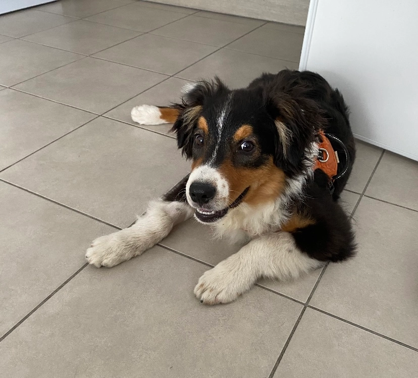 Pepper - Parc Georges Charpak, Montpellier