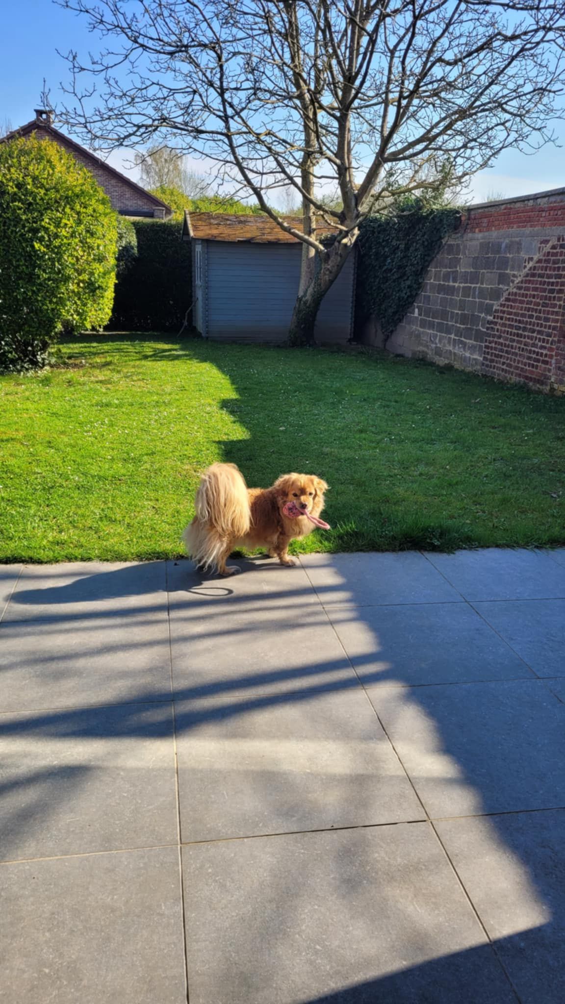 Max - Edelweisslaan, Tervueren