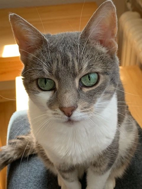 Luna - Biesheimer Straße, Breisach am Rhein