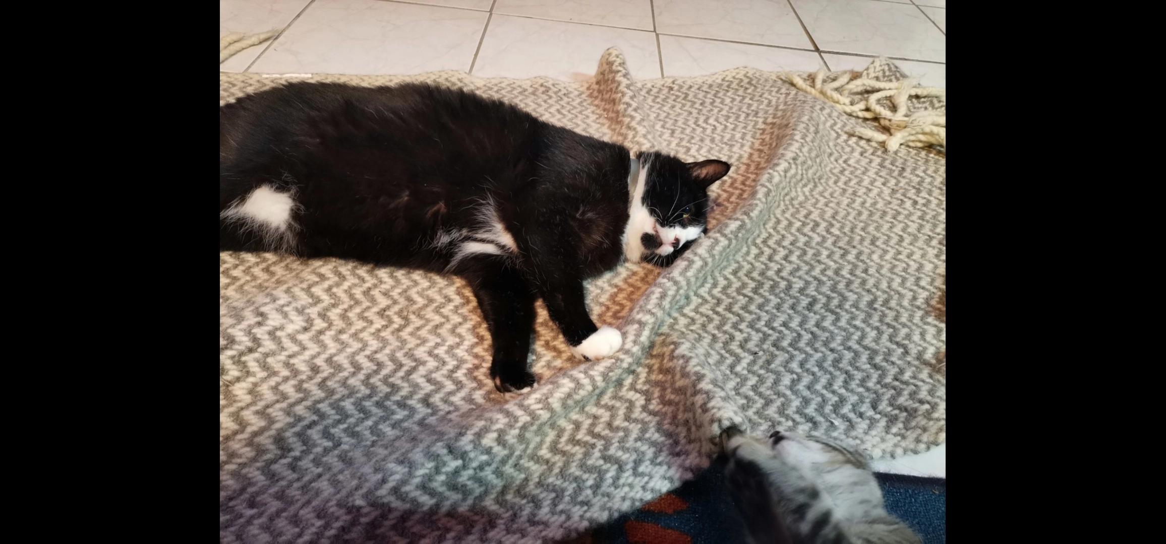 Albus - Route des Pierrettes, Villeneuve