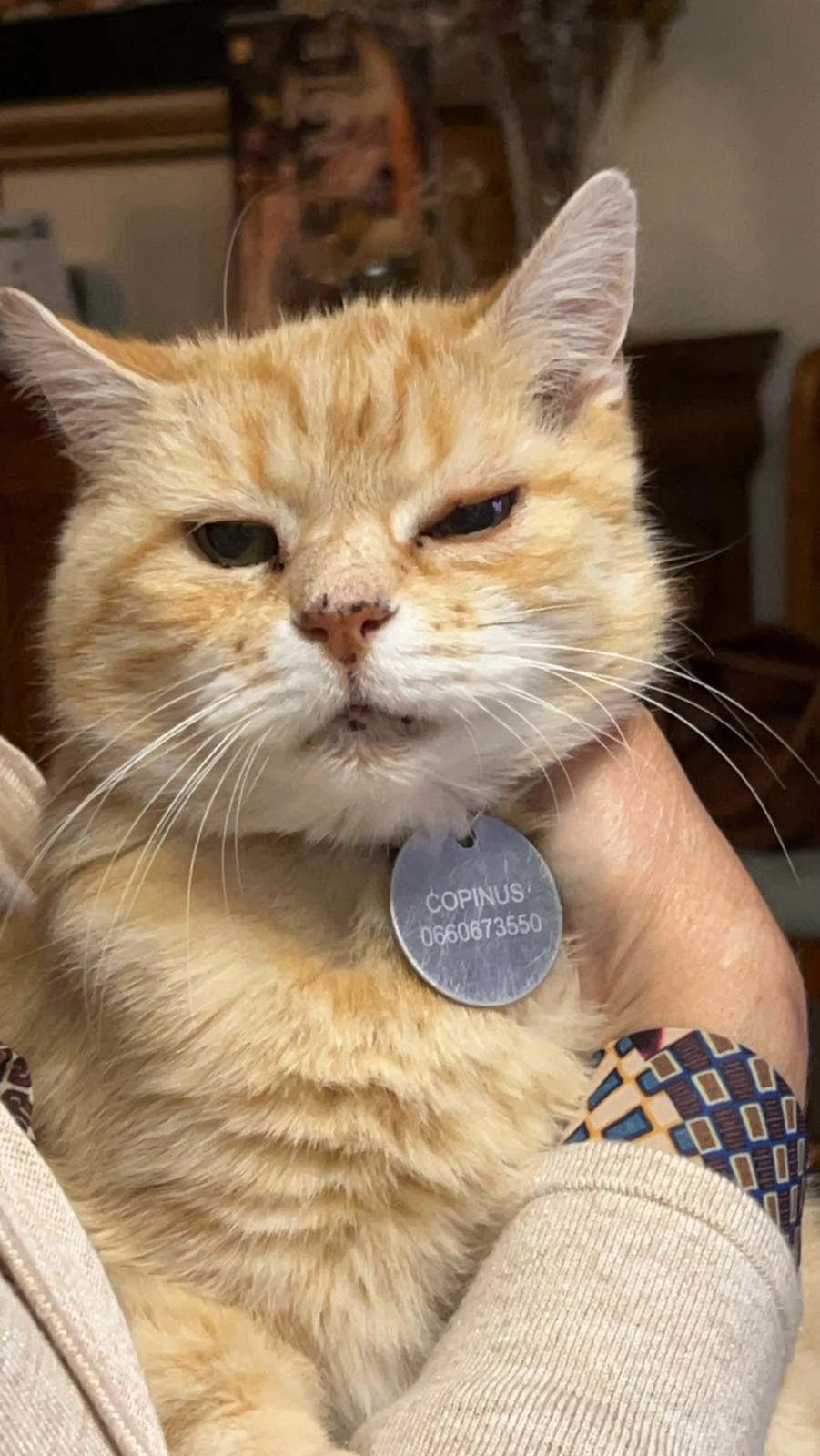 Copinus - 49 Clos des Sorbiers, Marly