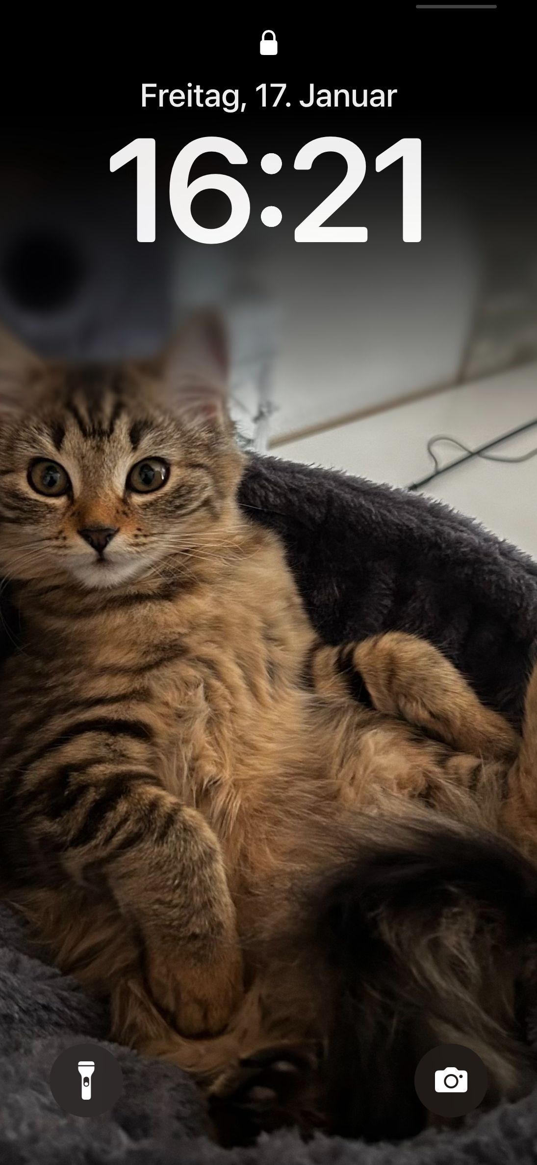 Imani  - Stuttgarter Ring, Heidenheim an der Brenz