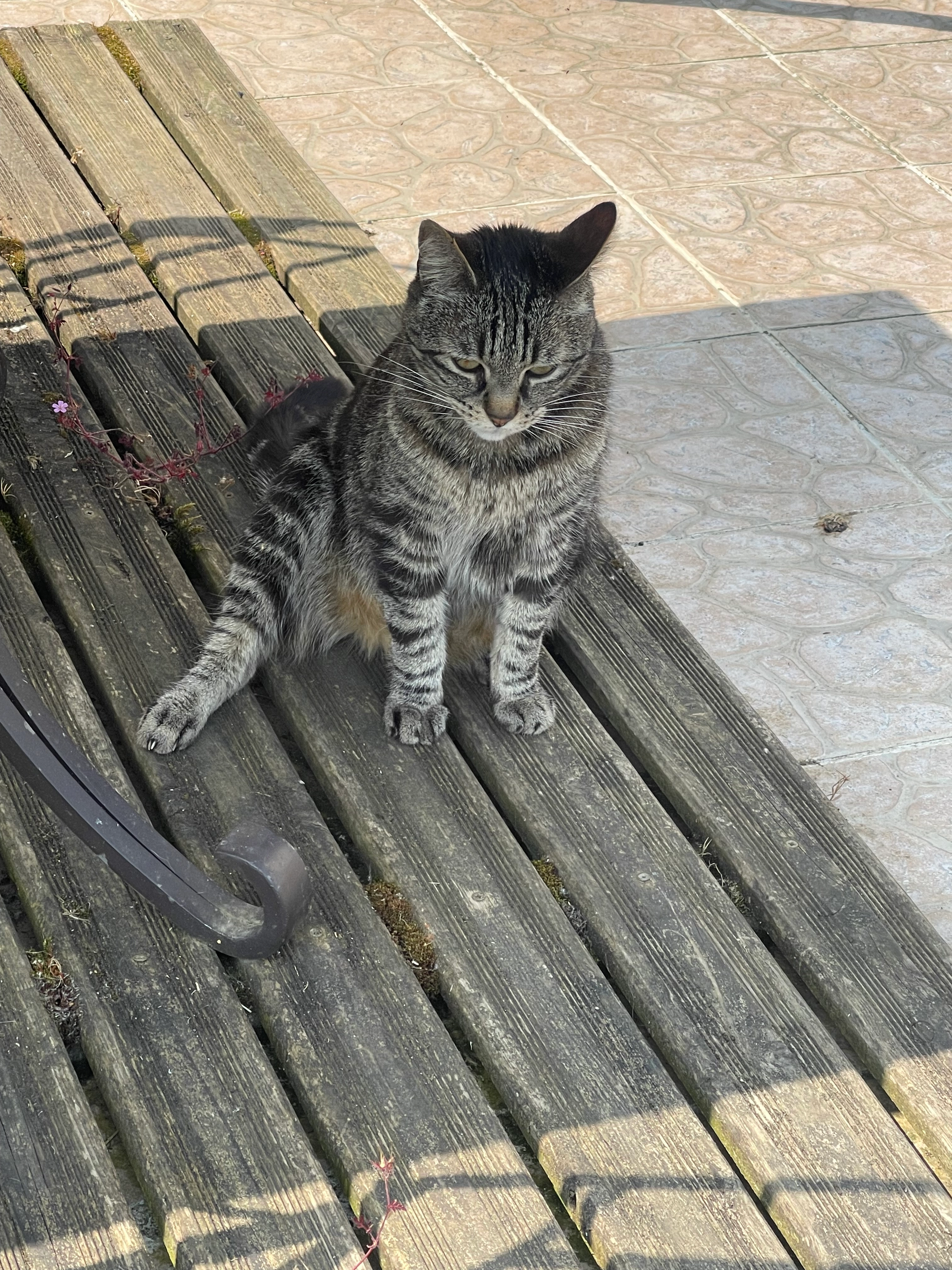 Looping  - 8 Chemin des Prés, Villecerf
