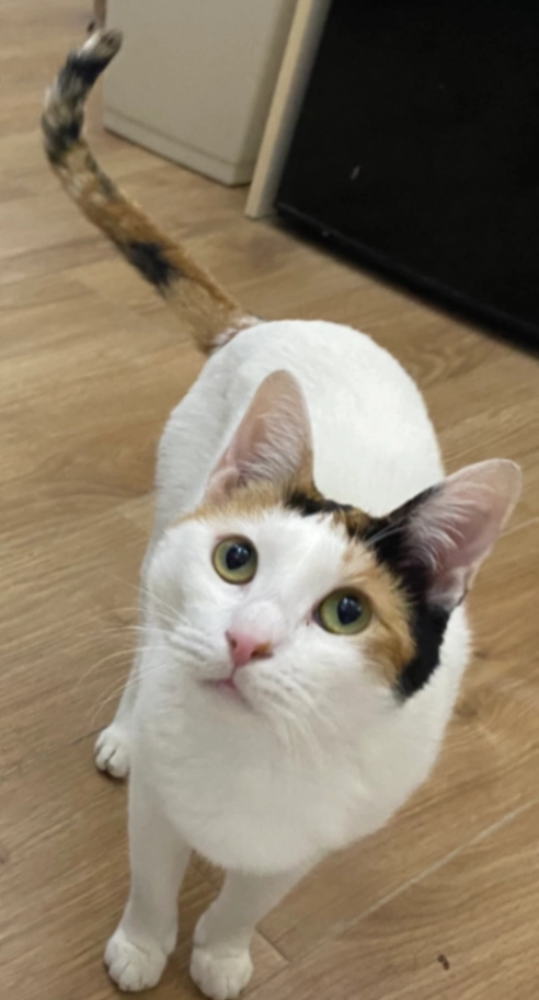 Chloe - Albright Road, Birmingham