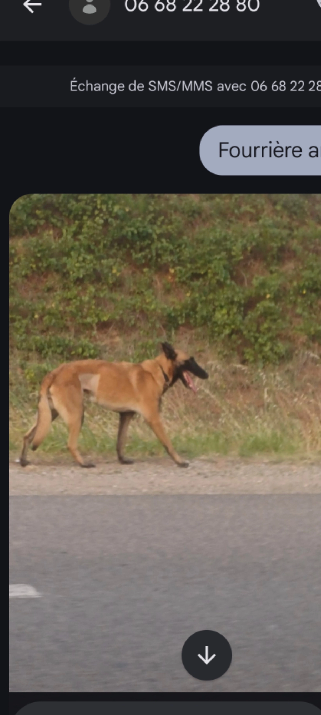 Rainha - Avenue Éole, Perpignan