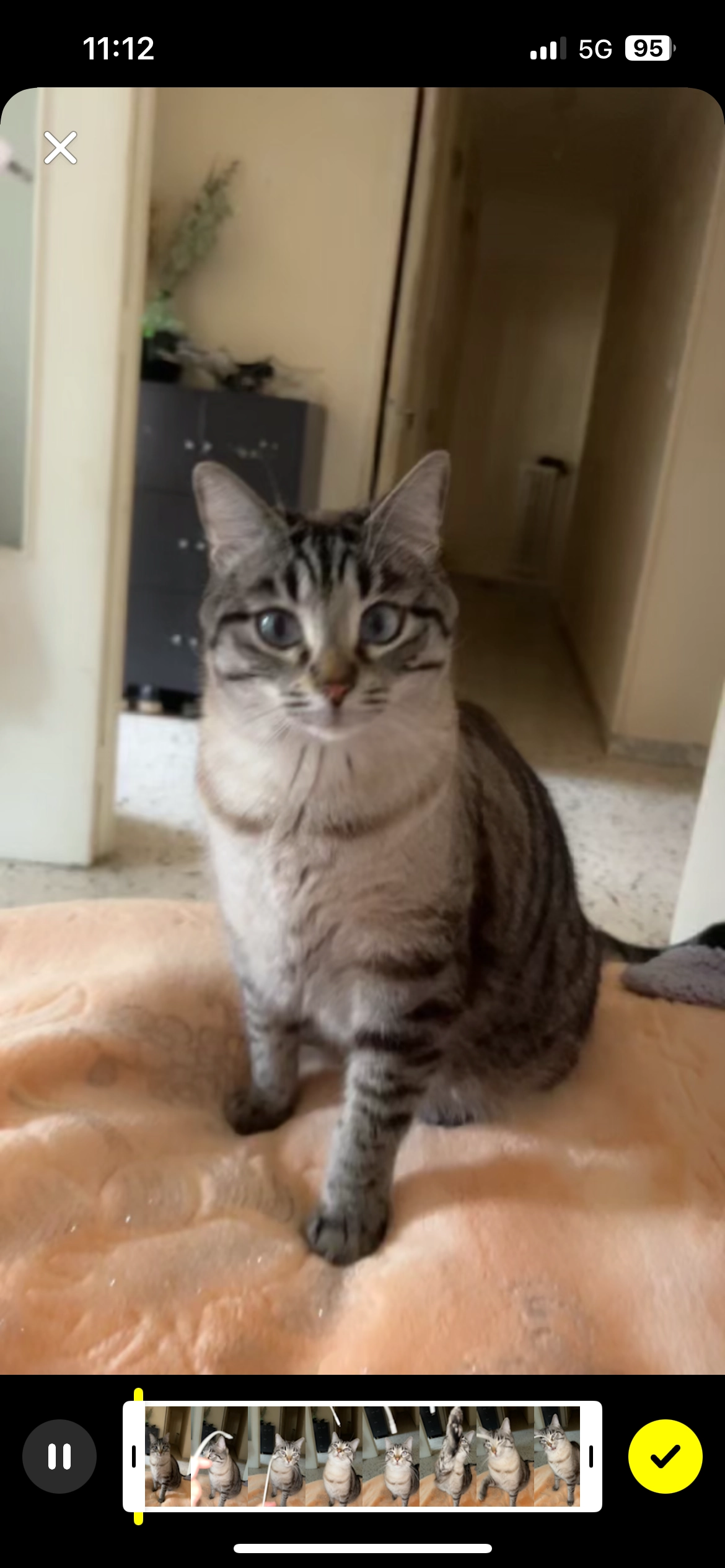 Beb's - Avenue Denis Séméria, Nice