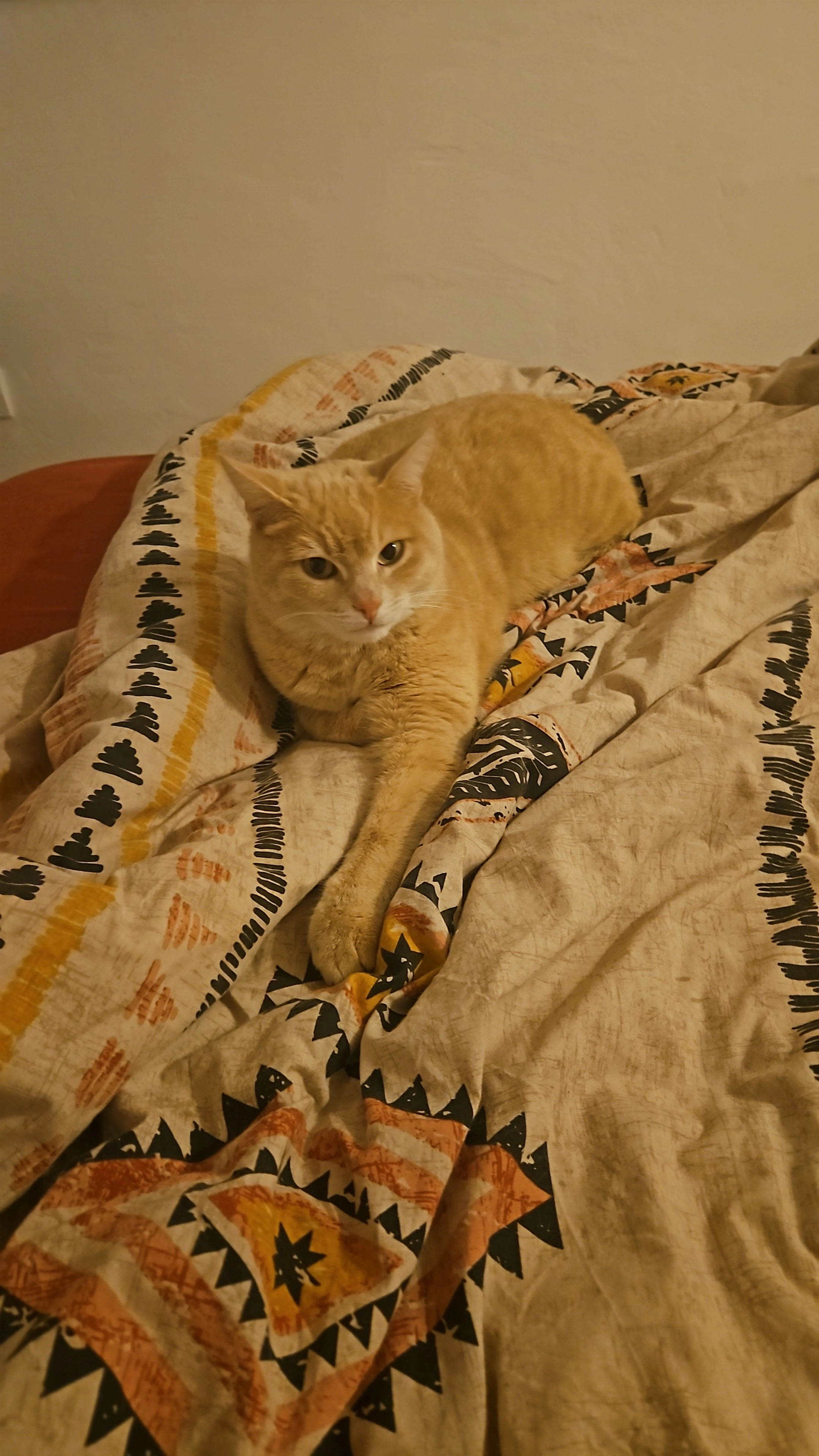 Simba  - 2380 Route de Vins, Le Val