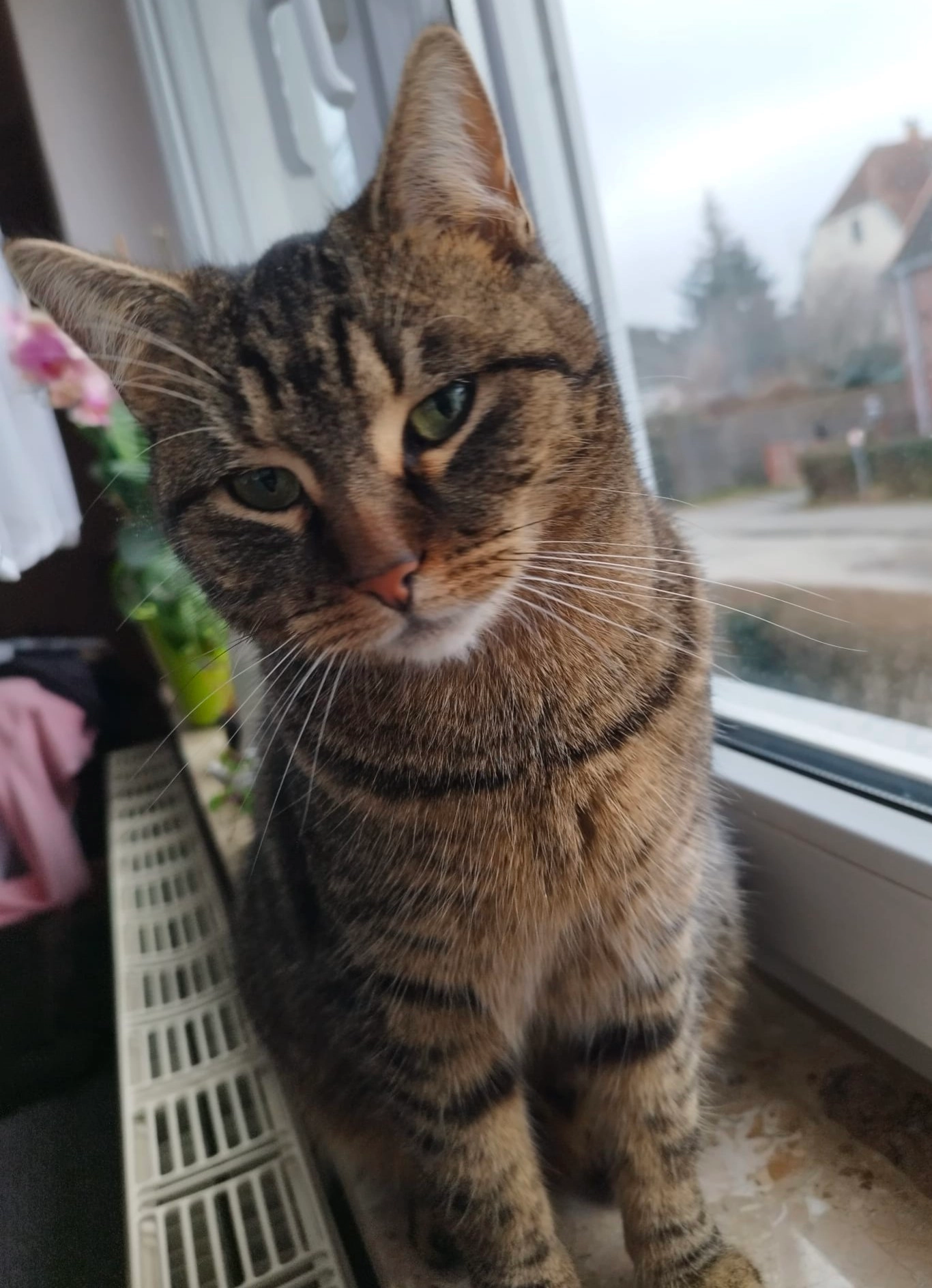 Zuma - Gartenstraße, Gröditz