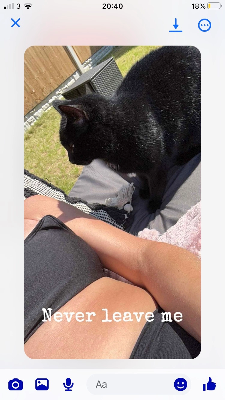 Timmy - D'Urton Lane, Preston