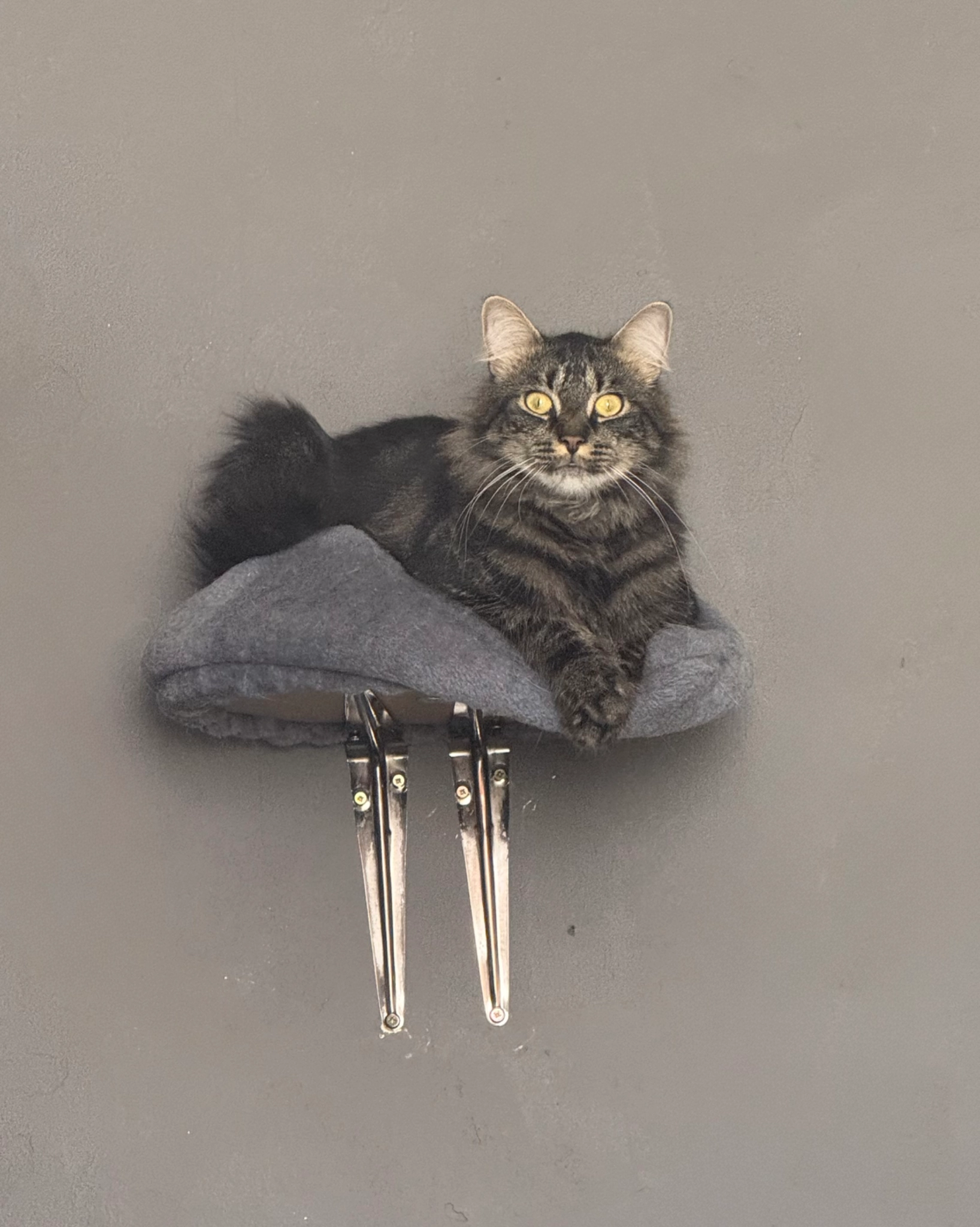 Blade - Dent Close, Worcester