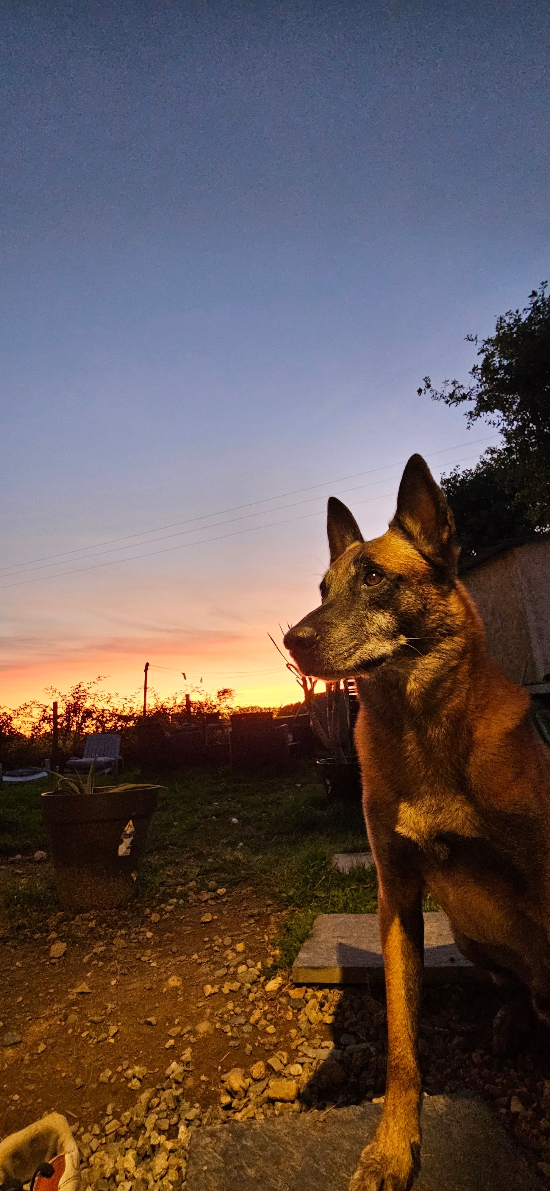 Oslo - Hameau Lan Menhir, Languidic