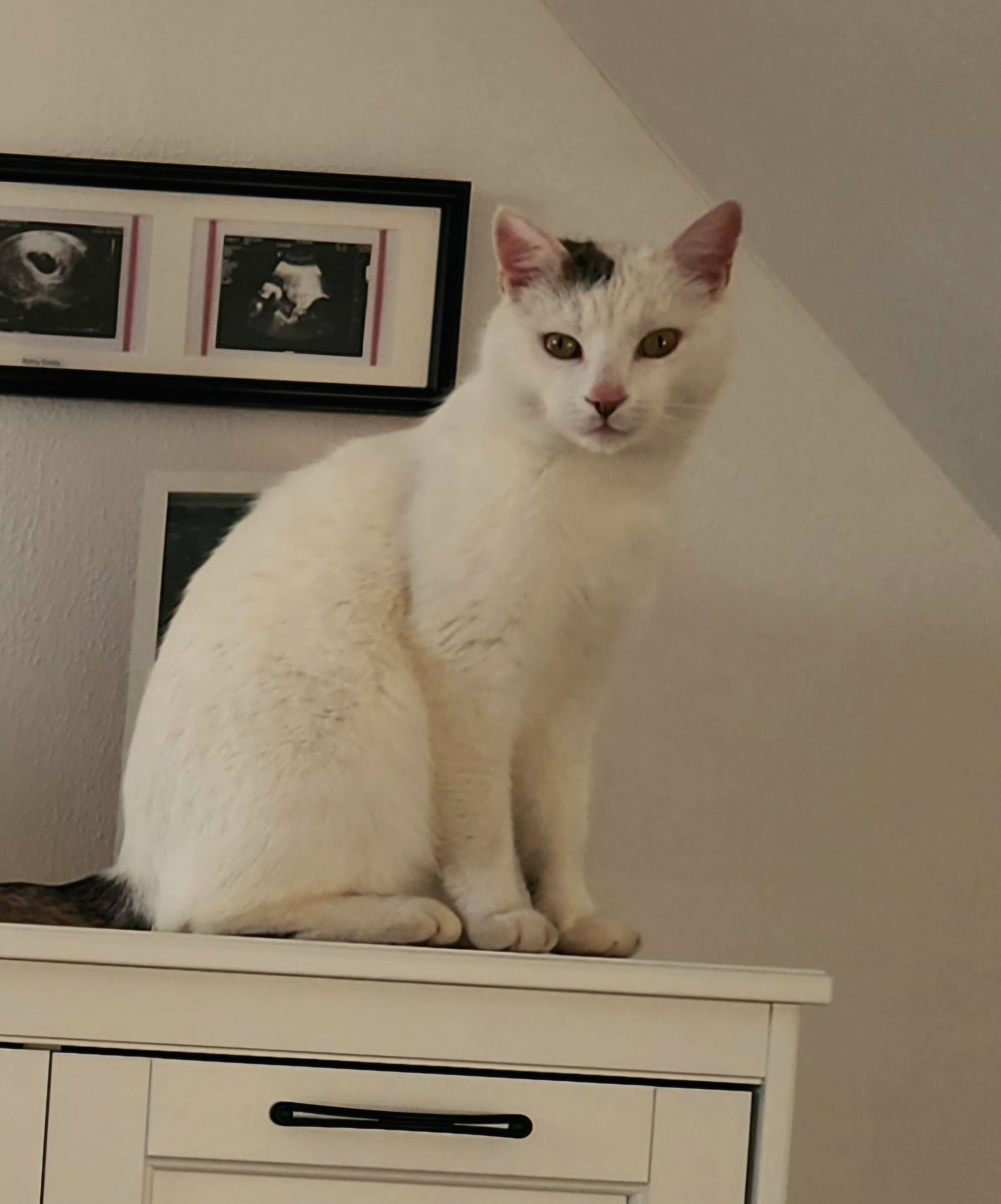 Leo - Wörtelweg, Schwanau