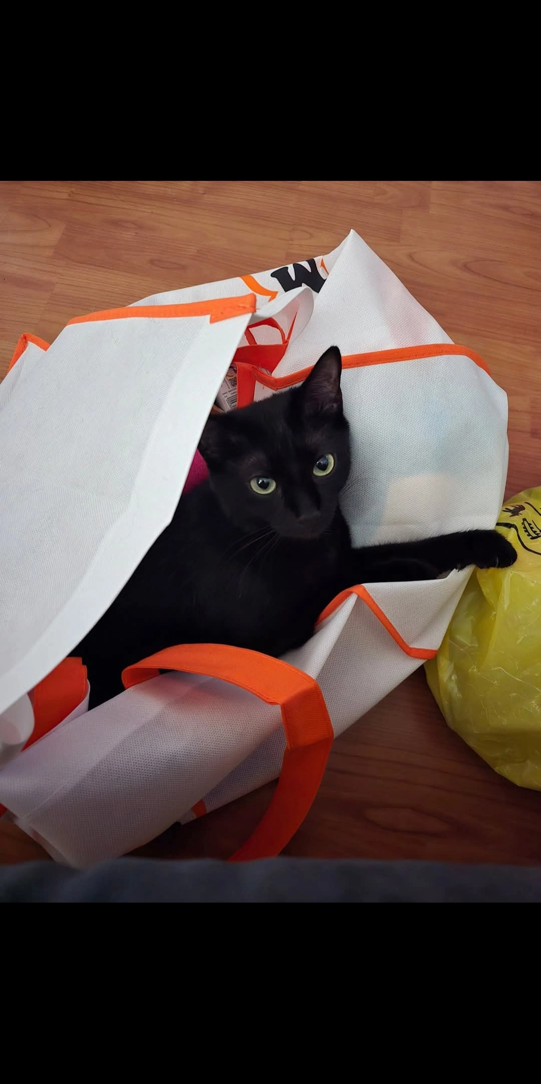 Nikki - Rennweg 8, Amriswil