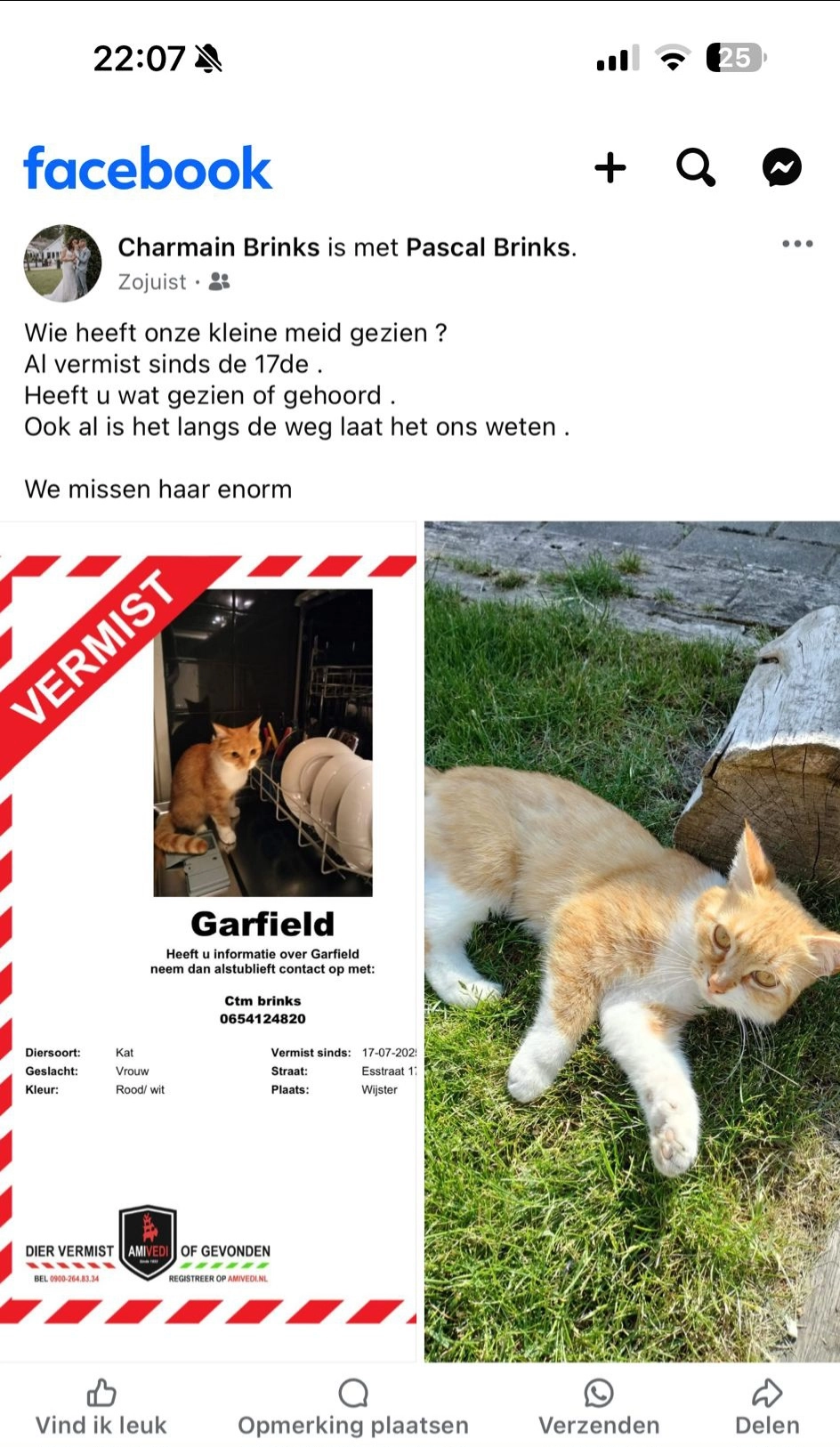 Garfield - Esstraat, Wijster