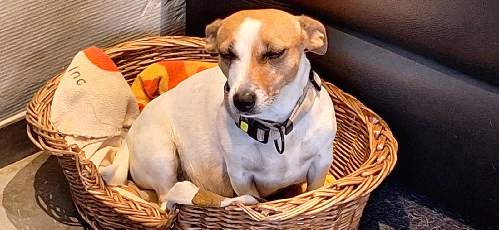 Lola - Mont, Ellezelles