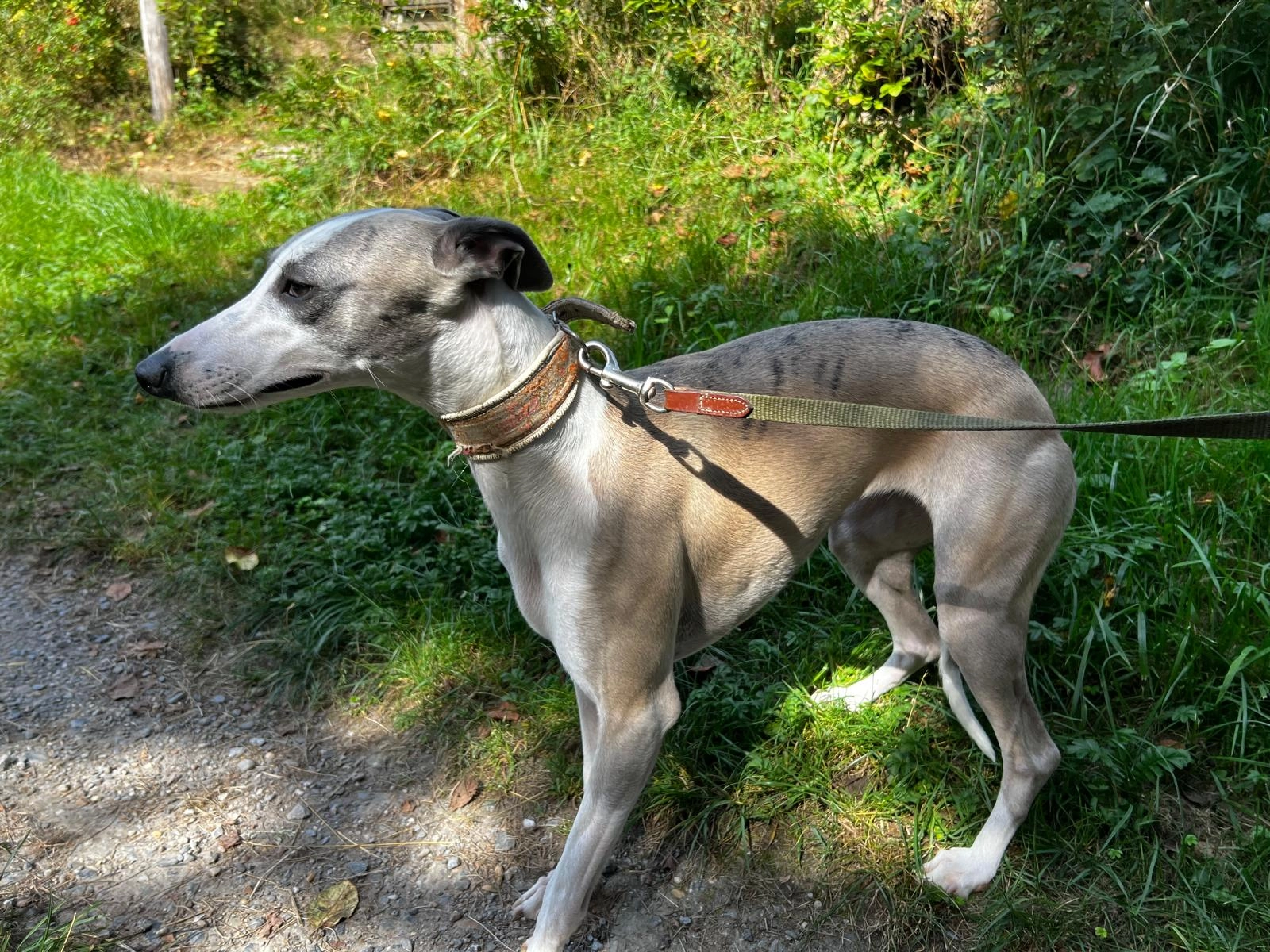 Mila - Am Stadtgarten, Velbert