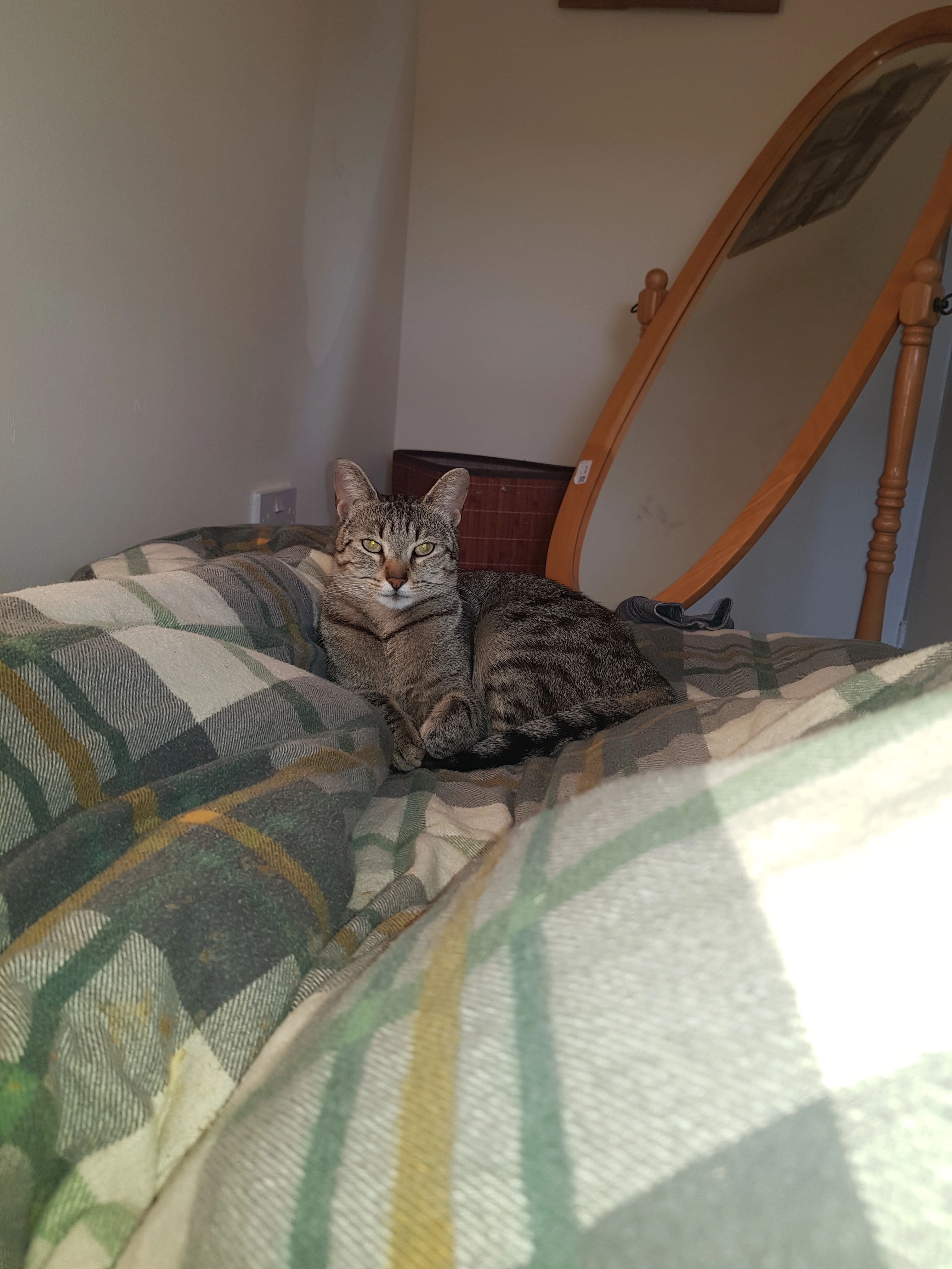 Sofia - Greenside Avenue, Peterlee