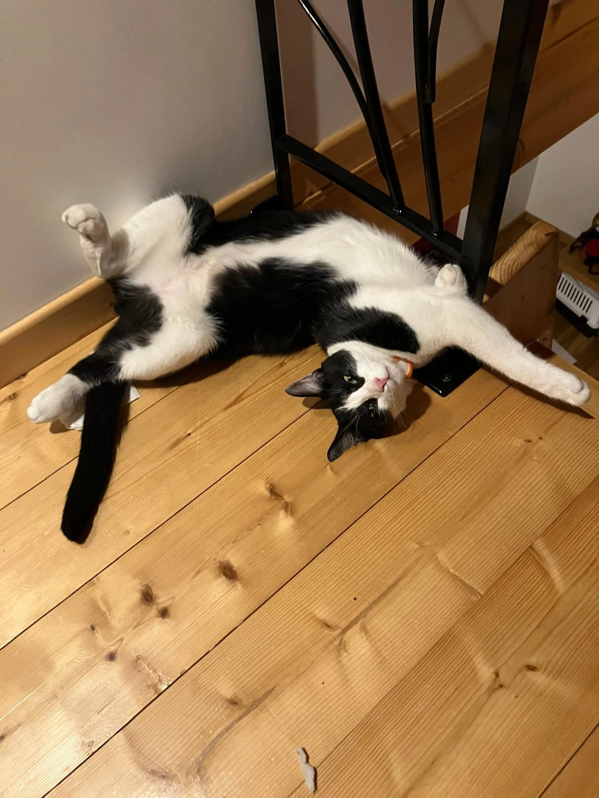 guinness - Passage de Provins, Annecy